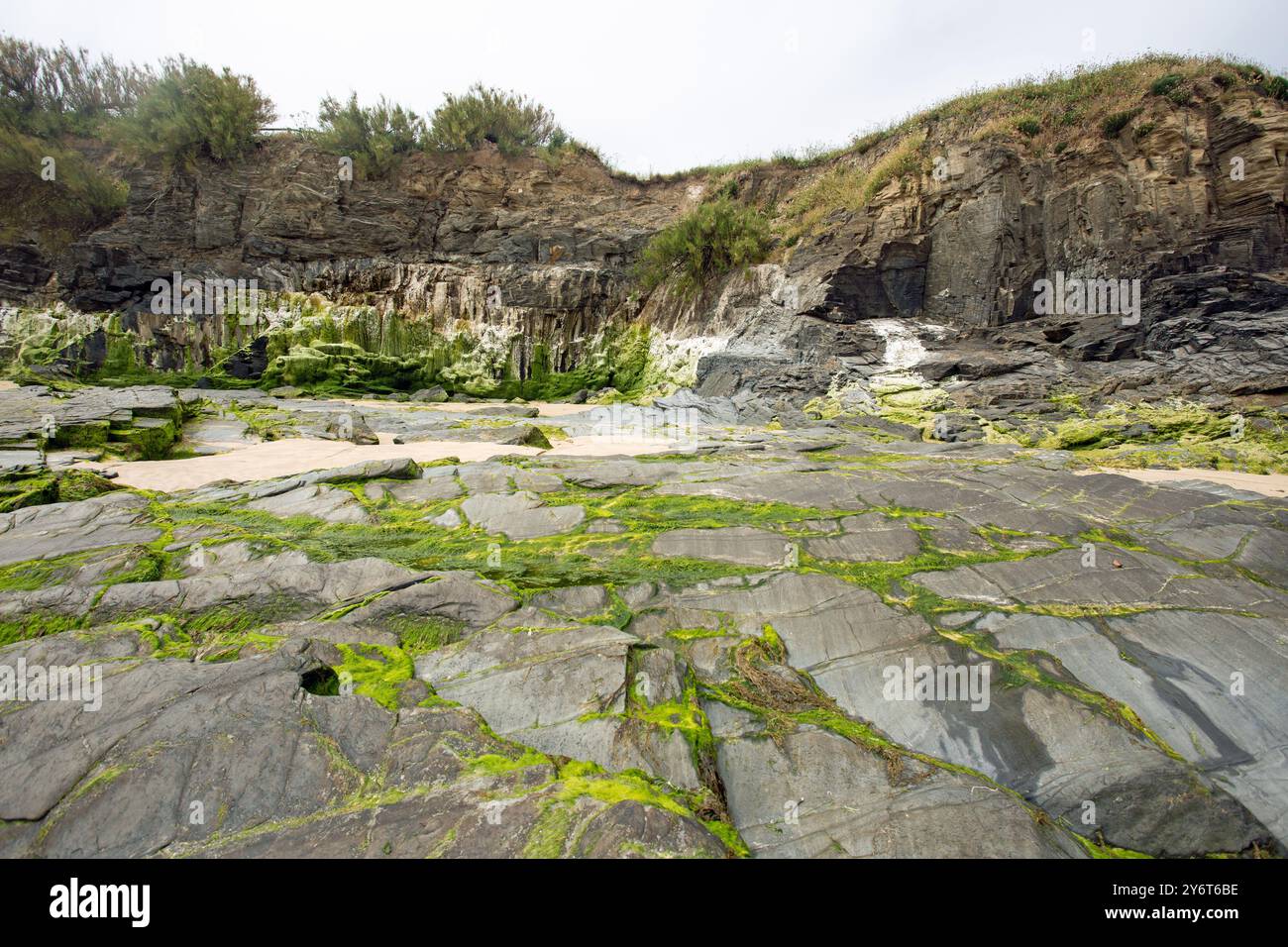 Harlyn Bay Beach, Cornovaglia, Inghilterra, 25 giugno 2024, rocce coperte di muschio verde sulla spiaggia Foto Stock