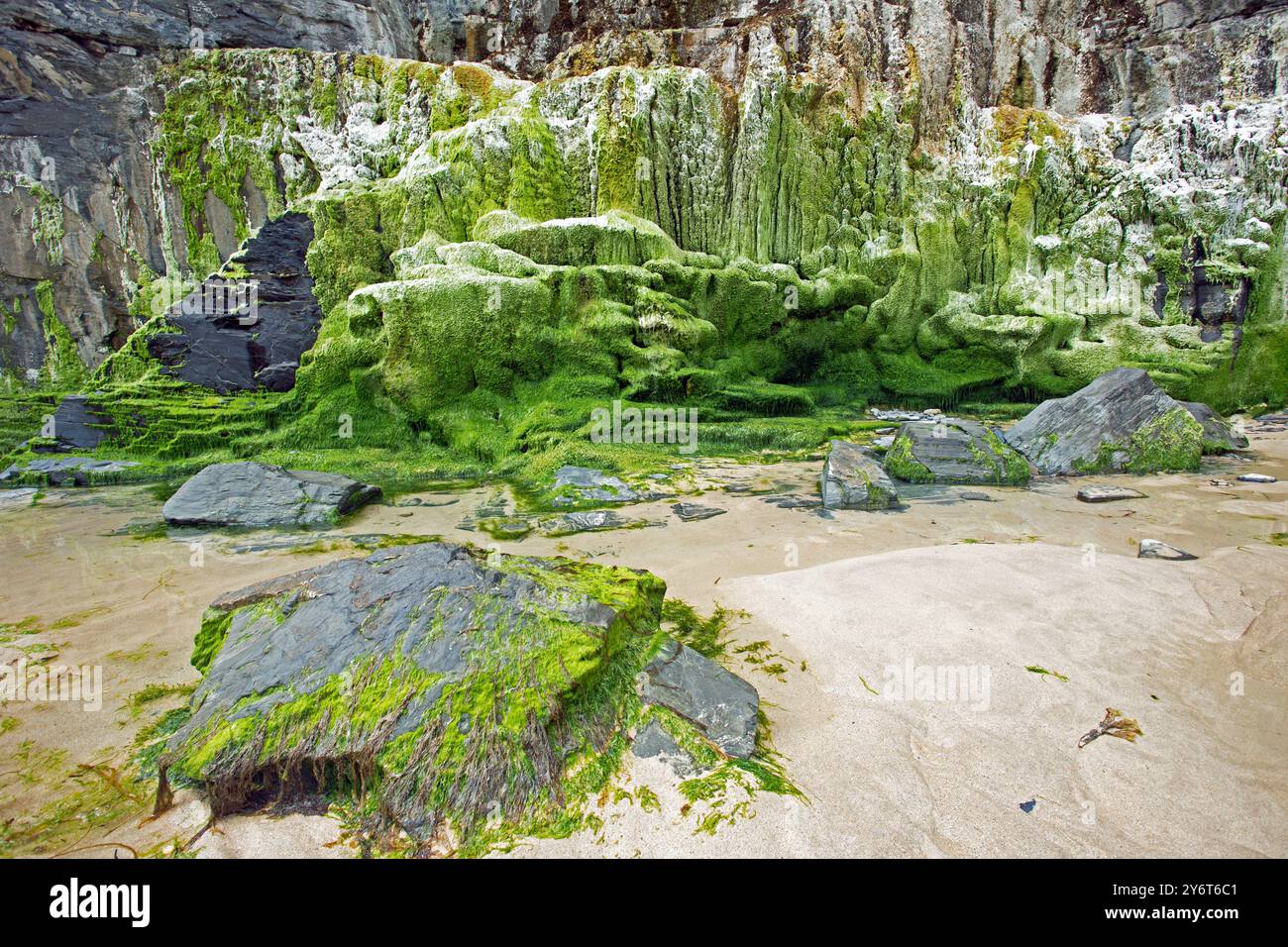 Harlyn Bay Beach, Cornovaglia, Inghilterra, 25 giugno 2024, rocce coperte di muschio verde sulla spiaggia Foto Stock