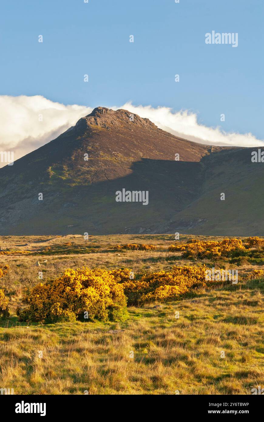 Irlanda del Nord la contea di Down Mourne Mountains Foto Stock