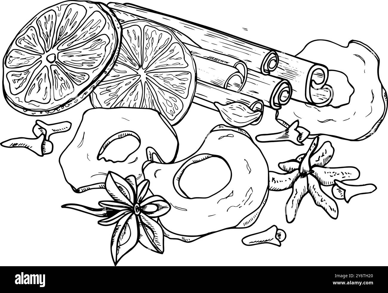 Inverno sano organico vegan seccato cumulo di spezie disegnato a mano in monocromia. Fette di arancia e mela, chiodi di garofano, badiana, cannella Illustrazione Vettoriale