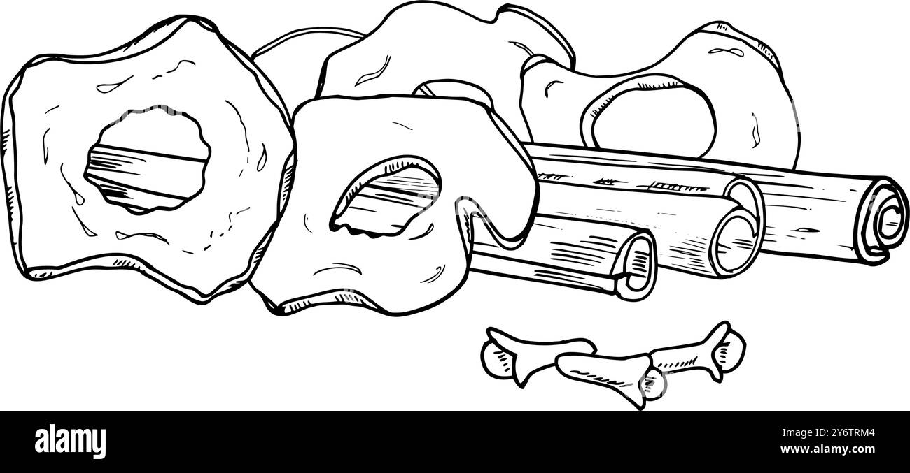 Fette di mele secche vegane organiche, bastoncini di cannella e chiodi di garofano illustrazioni a inchiostro nero. Ingredienti speziati monocromatici disegnati a mano in inverno Illustrazione Vettoriale