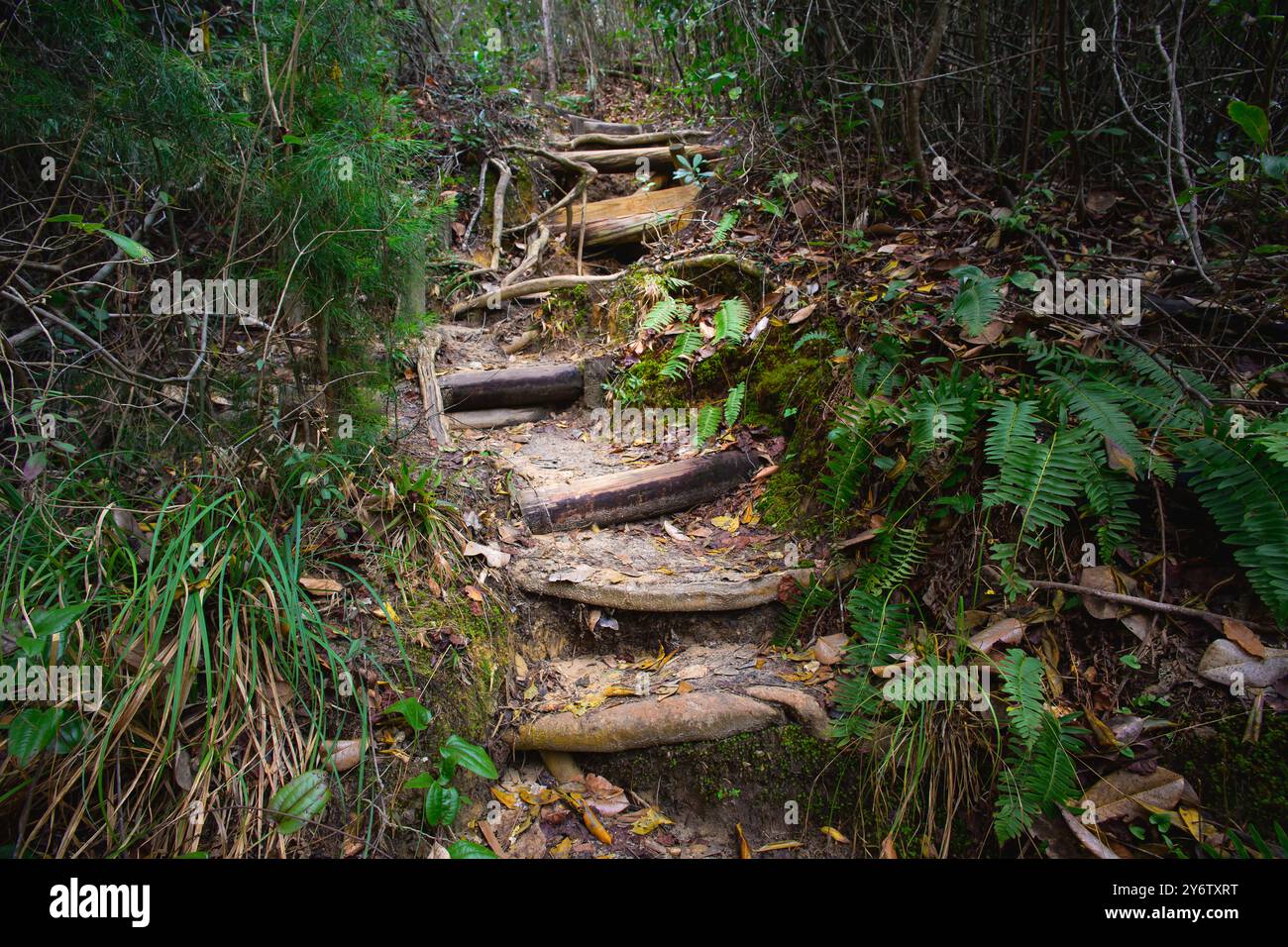 "Navigare nella natura. Le scale di legno attraversano l'aspro paesaggio, guidando gli escursionisti attraverso il terreno impegnativo del Garden of Eden Trail. Foto Stock