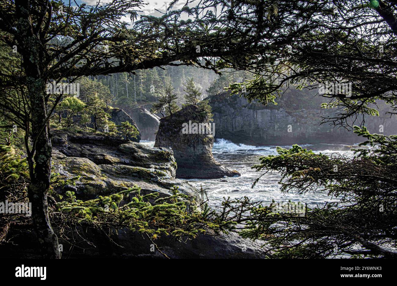 Maka Reservation, Washington, Stati Uniti. 26 settembre 2024. Le nuvole pomeridiane si sono liberate per rivelare la bellezza dei punti panoramici alla fine del sentiero di Cape Flattery. Capo Flattery è il punto più a nord-ovest degli Stati Uniti contigui. Si trova nella contea di Clallam, Washington, sulla penisola Olympic, dove lo stretto di Juan de Fuca si unisce all'Oceano Pacifico. Fa anche parte della riserva Makah ed è il confine settentrionale dell'Olympic Coast National Marine Sanctuary. (Credit Image: © Bruce Chambers/ZUMA Press Wire) SOLO PER USO EDITORIALE! Non per USO commerciale! Foto Stock