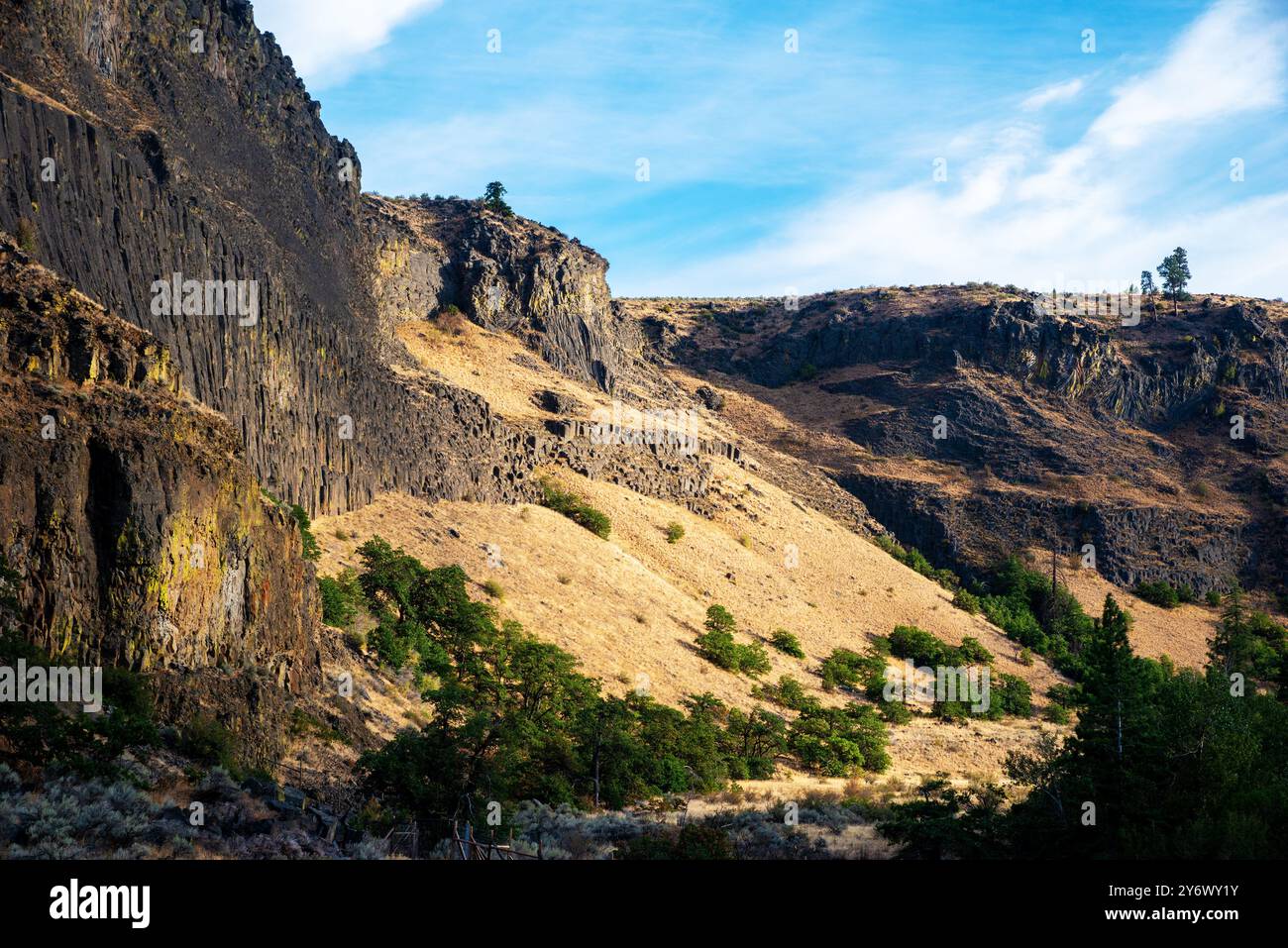 Il Tieton River Canyon è fiancheggiato da entrambi i lati dell'autostrada 12, con colonne di andesite e basalto che si estendono per oltre 32 chilometri. Centro di Washington. STATI UNITI Foto Stock