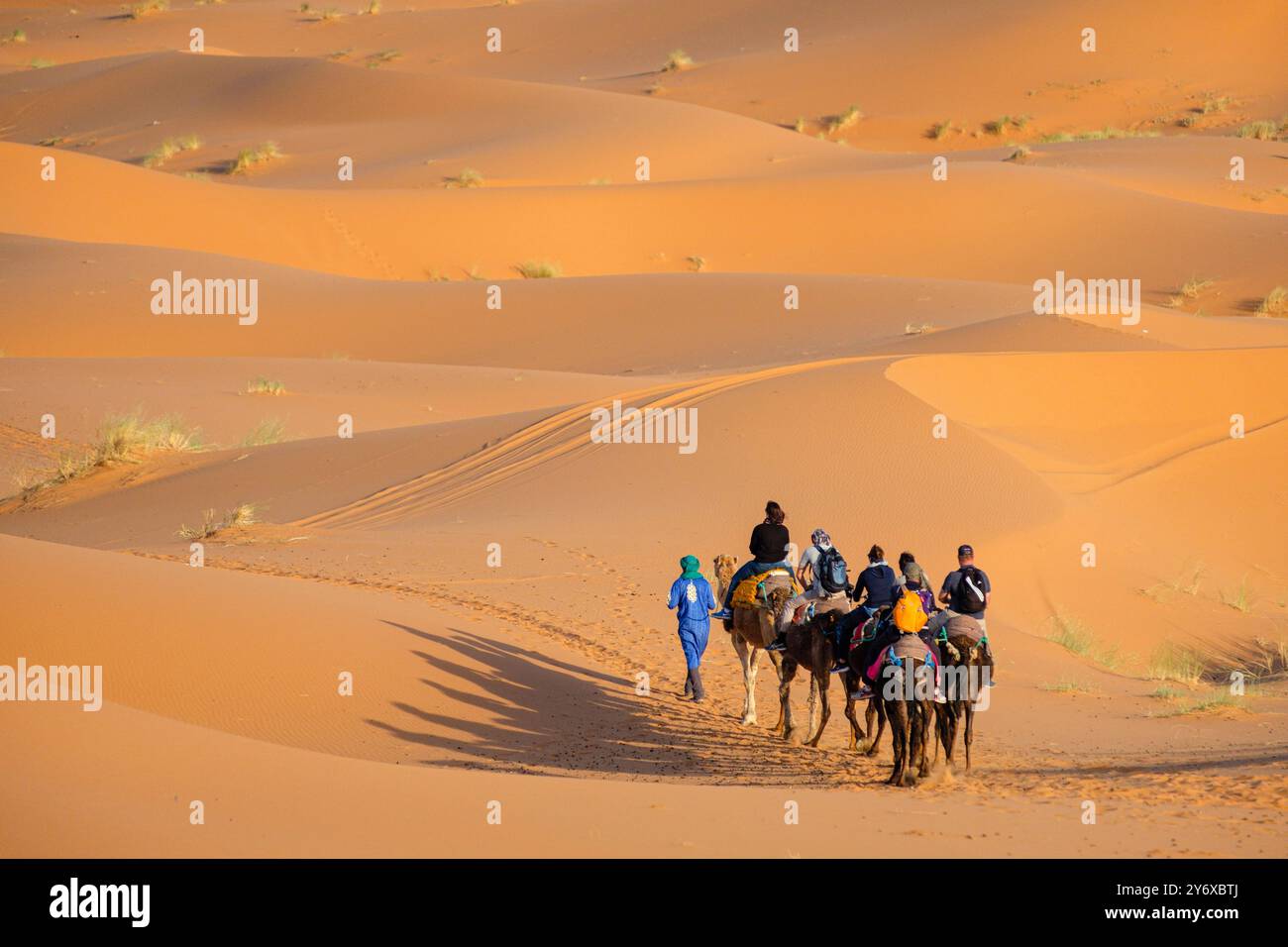 Carovana turistica di cammelli a Erg Chebbi, Merzouga, Taffilalet, Marocco, Africa. Foto Stock