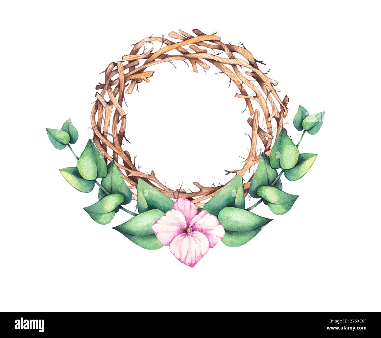 Collezione di illustrazioni di fiori d'acquerello e uccelli Foto Stock