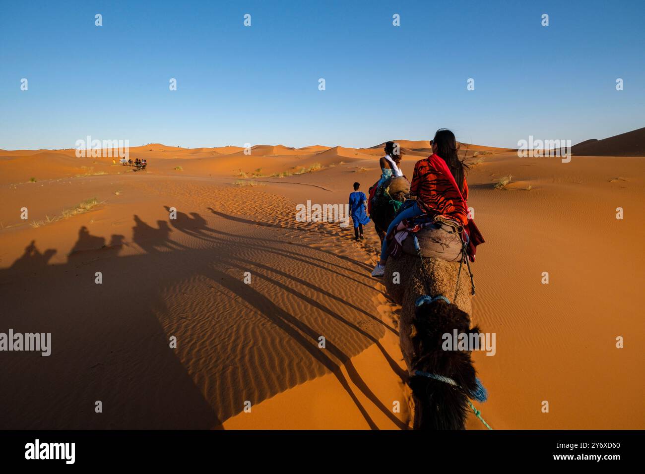 Carovana turistica di cammelli a Erg Chebbi, Merzouga, Taffilalet, Marocco, Africa. Foto Stock