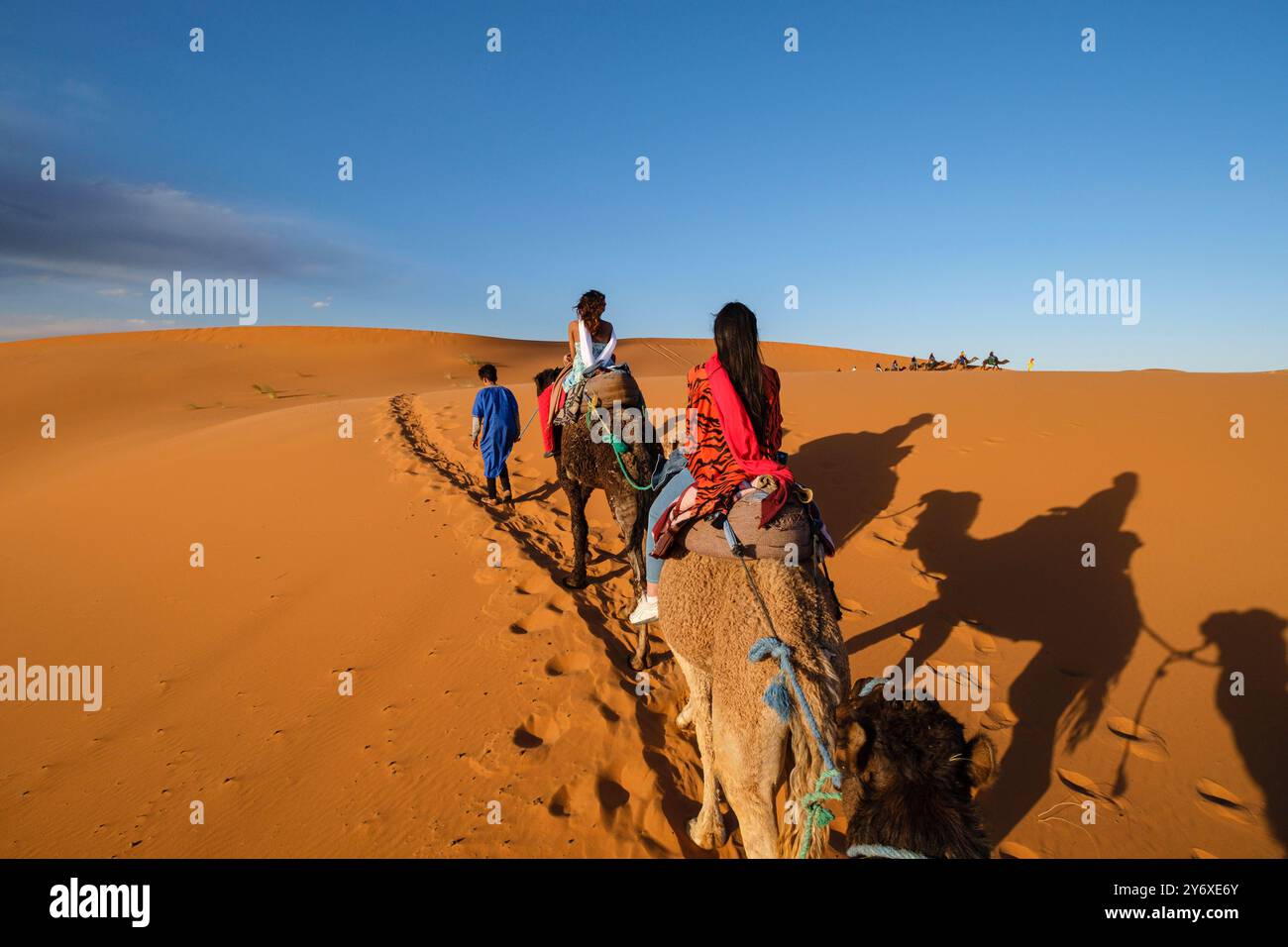 Carovana turistica di cammelli a Erg Chebbi, Merzouga, Taffilalet, Marocco, Africa. Foto Stock