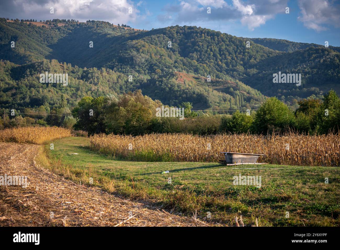 paesaggio rustico autunnale con campi di mais e colline sullo sfondo Foto Stock