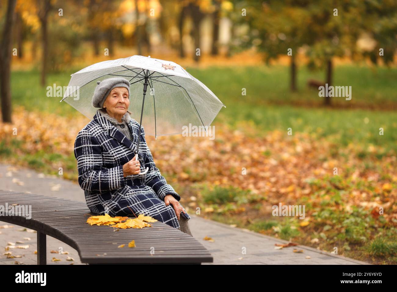 Donna anziana in cappotto grigio con ombrello sulla panchina con foglie autunnali Foto Stock