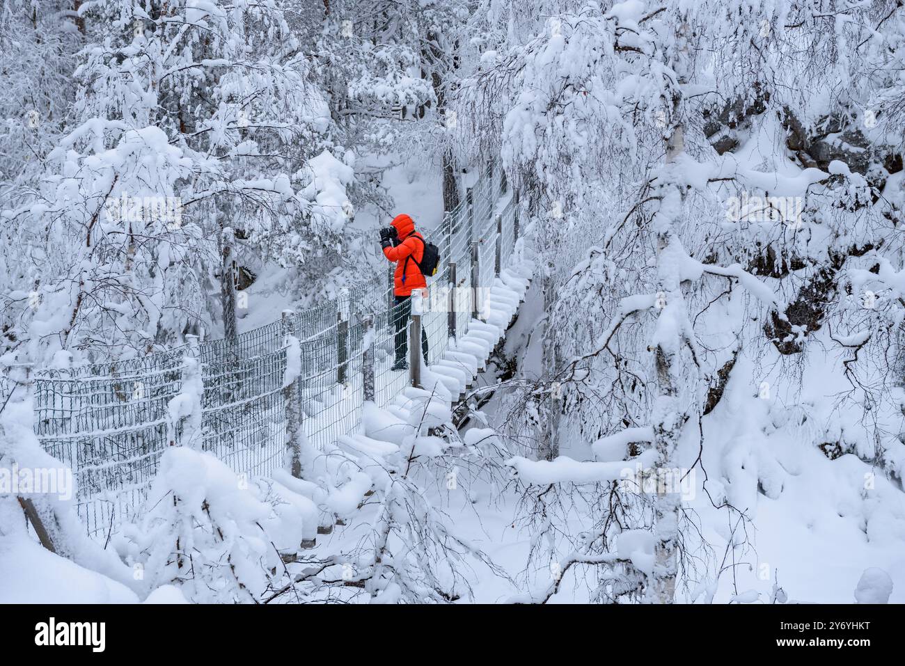 Passerella pedonale sul fiume nelle rapide di Myllykoski con la foresta innevata in inverno nel parco nazionale di Oulanka (Kuusamo, Lapònia, Finlandia) Foto Stock