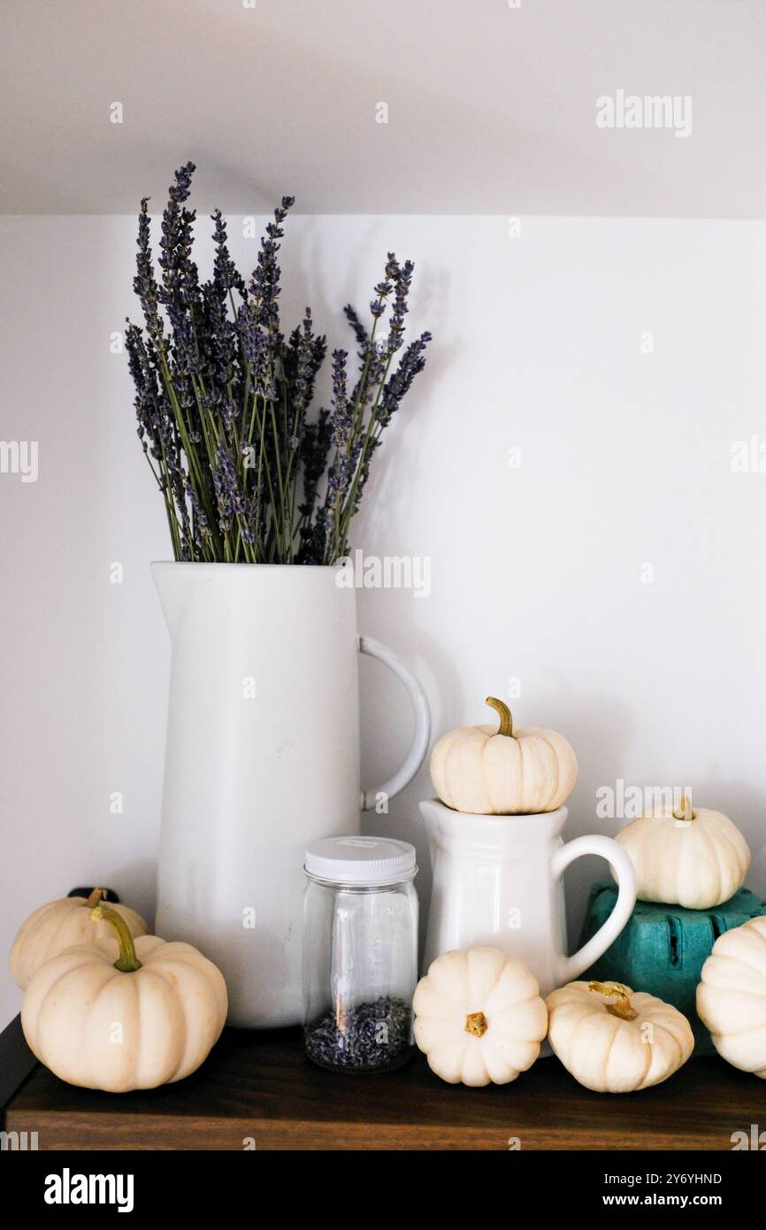 Decorazione autunnale di lavanda secca e zucche bianche sullo scaffale Foto Stock