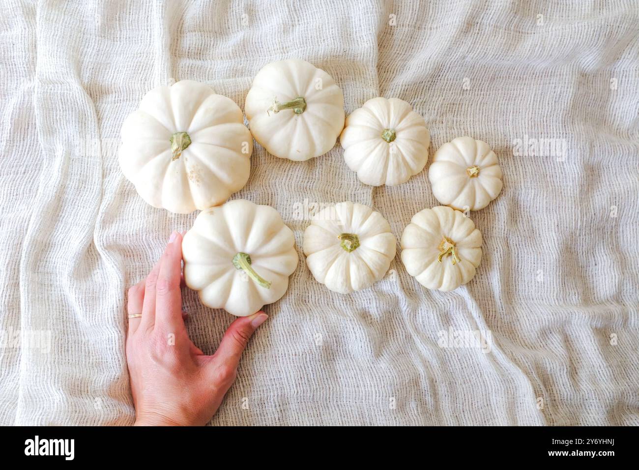 Tavola decorata a mano bianca con piccole zucche bianche Foto Stock