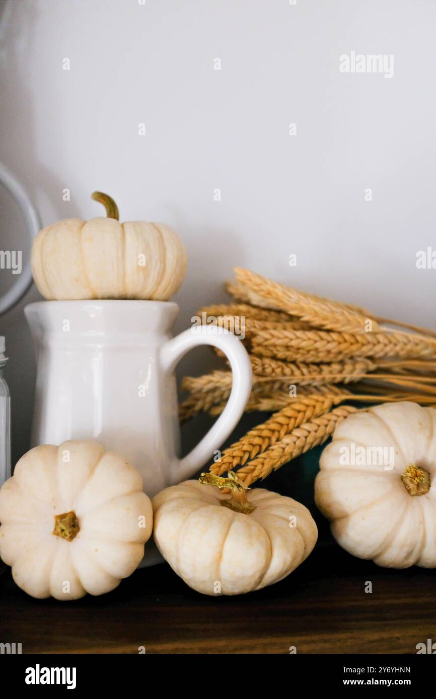 Zucche bianche piccole su legno rustico con grano naturale Foto Stock
