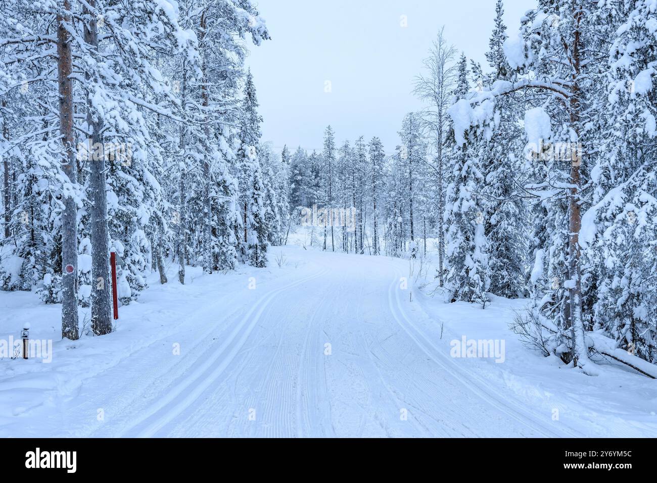 Sci nordico e piste per motoslitta presso la stazione sciistica di Levi nella Lapponia finlandese, tra la foresta innevata in inverno (Lapponia, Finlandia) Foto Stock