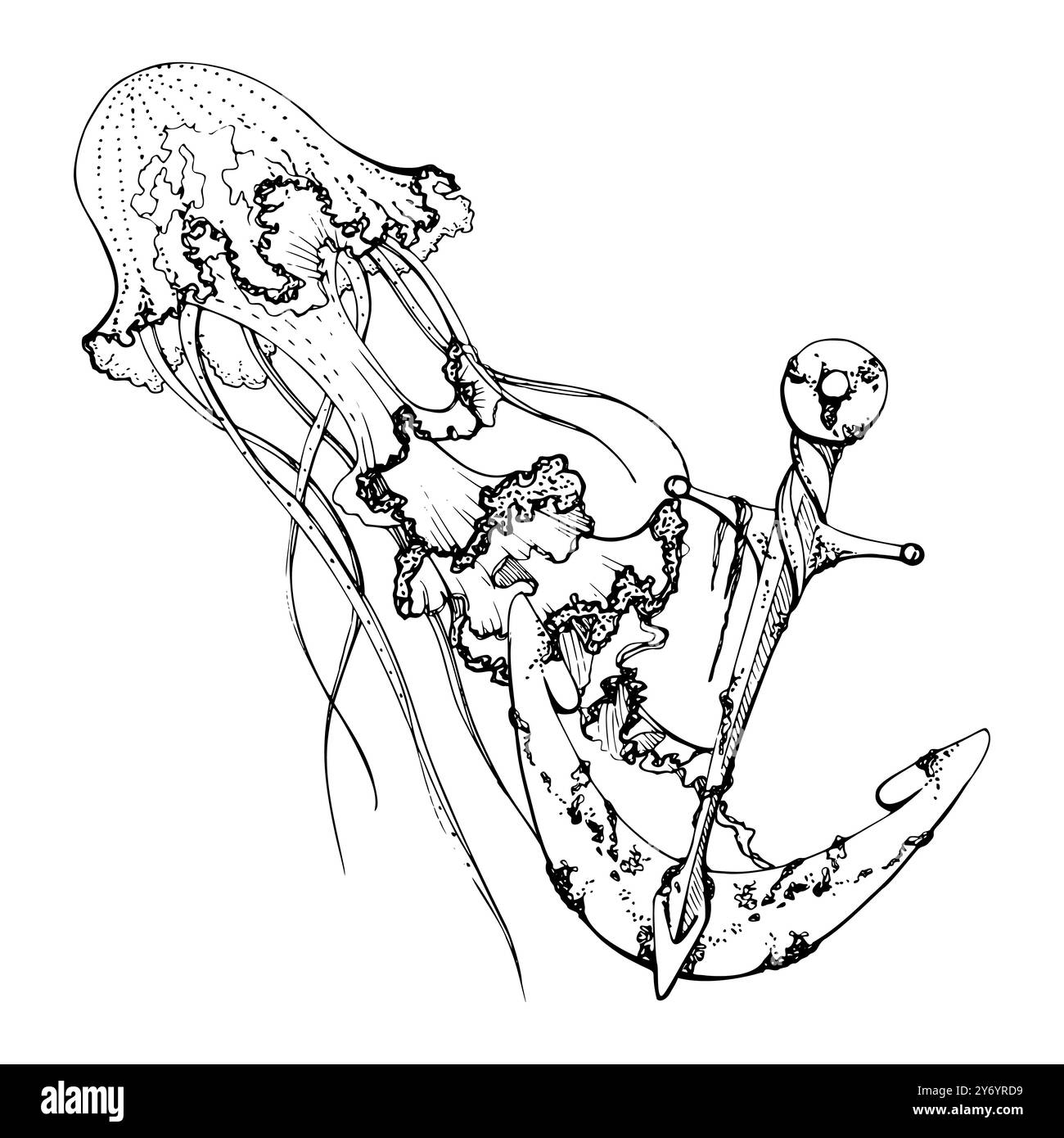 medusa medusa con ancora, vita marina, animali sottomarini dell'oceano marino, inchiostro e penna disegnati a mano. Illustrazione della composizione, stilizzata Illustrazione Vettoriale
