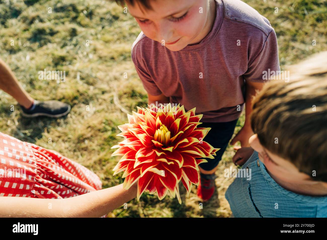 I bambini ammirano un grande e vibrante fiore rosso e giallo all'aperto Foto Stock