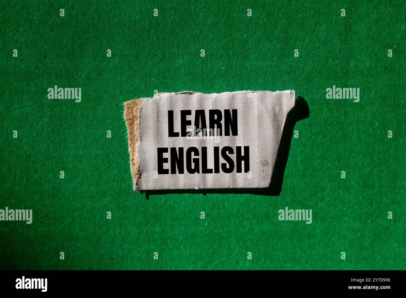 Impara il messaggio in inglese scritto su un pezzo di carta bianca strappato con sfondo verde. Simbolo Impara l'inglese concettuale. Copia spazio. Foto Stock