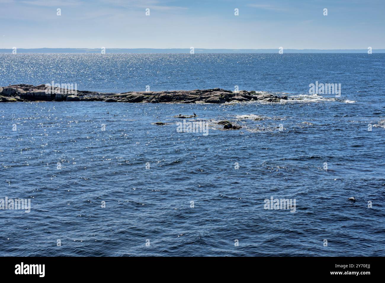 Piccole isole rocciose (isolotto) con foche riposanti nell'arcipelago Ertolmene. Primavera, giorno di sole Foto Stock