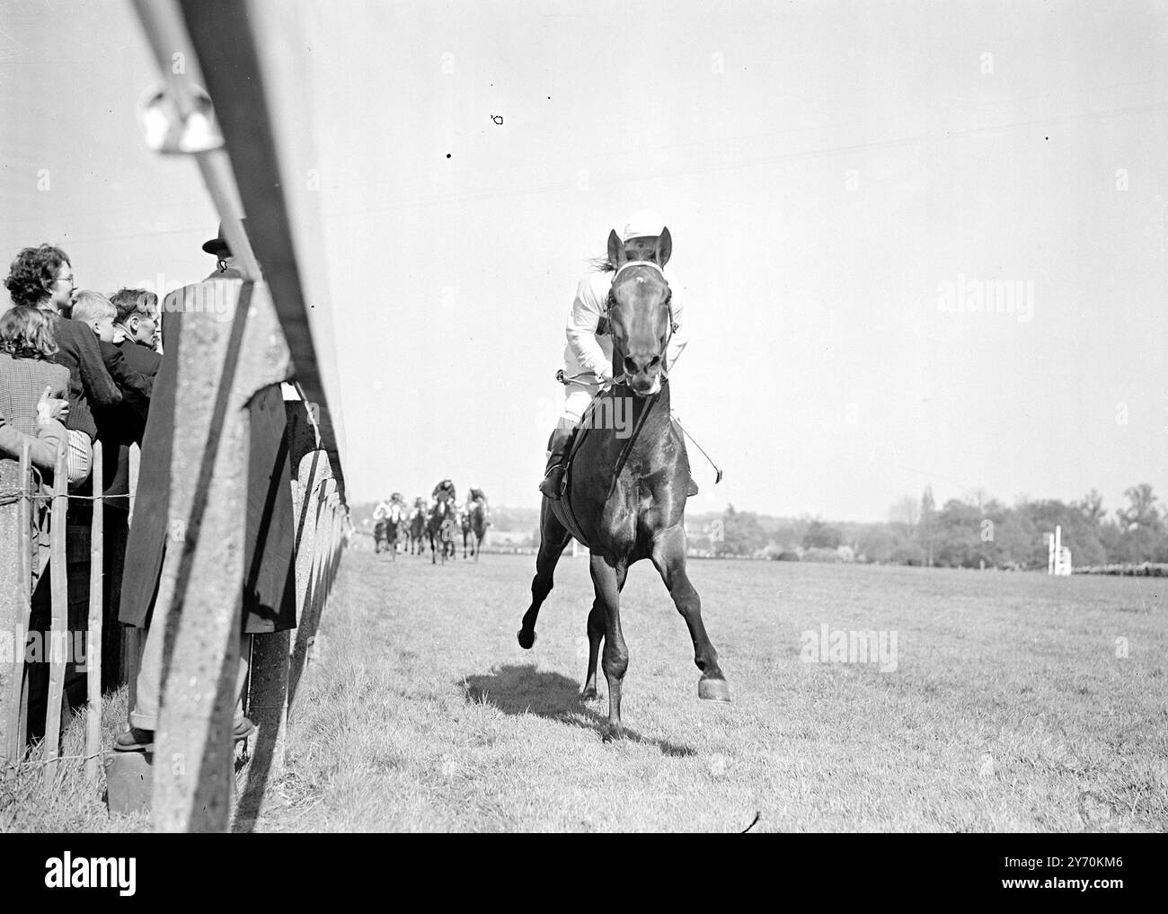 FACILE VITTORIA PER GORDON Ace il fantino Gordon Richards su WELSH MINSTREL , si vede vincere questo pomeriggio le Cobham Stakes a Sandown in modo facile . PIANO INFERIORE , CON C . Smirke UP, era secondo, ed EN RODAGE, guidato da L. SMITH, terzo. 23 aprile 1949 Foto Stock