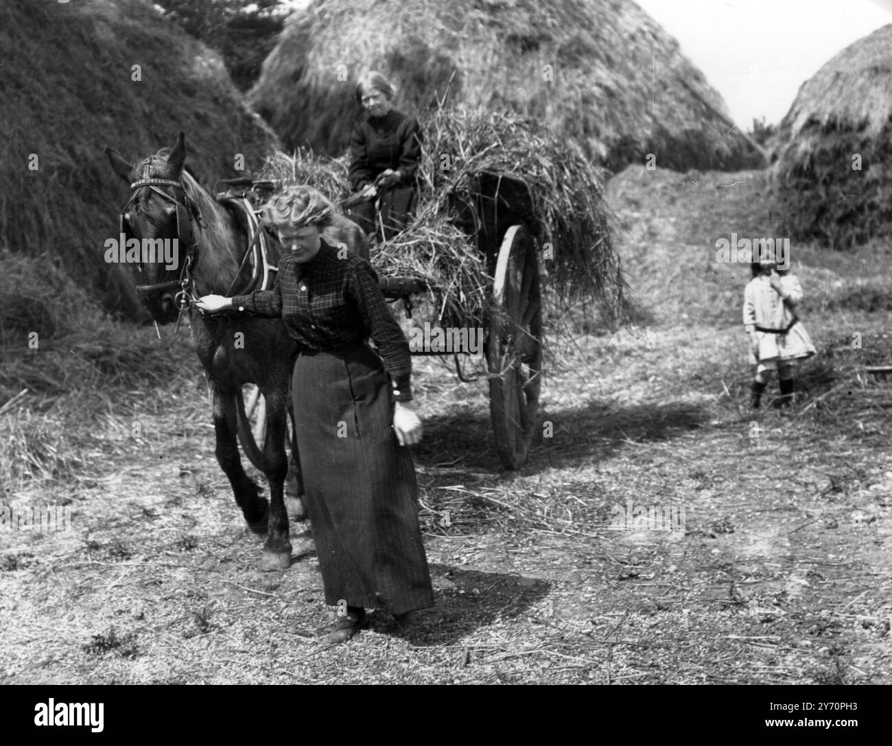 Le donne aiutano un contadino di Norfolk con il suo fieno Foto Stock