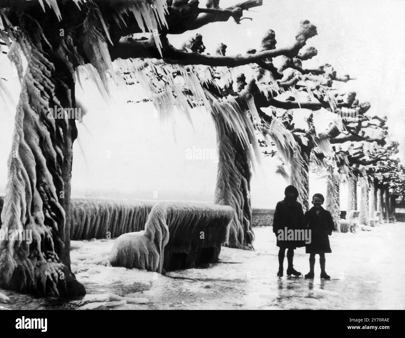 LA MANO PIETRIFICANTE DELL'INVERNO. Come se qualche pasticceria gigante fosse venuta per la sua strada e poi decorata con la glassa, alberi e posti a sedere accanto al lago di Ginevra rendono una scena di rara bellezza dopo il passaggio di un vento gelido da nord. La direzione del vento è indicata dai ghiacciai, che aggiungono un fregio simmetrico ai rivestimenti glaciali di tronchi e panchine, ciascuno come una cascata rimasta nel suo corso. Questo fenomeno è il risultato di uno degli inverni continentali più freddi mai registrati. 8 gennaio 1938 Foto Stock