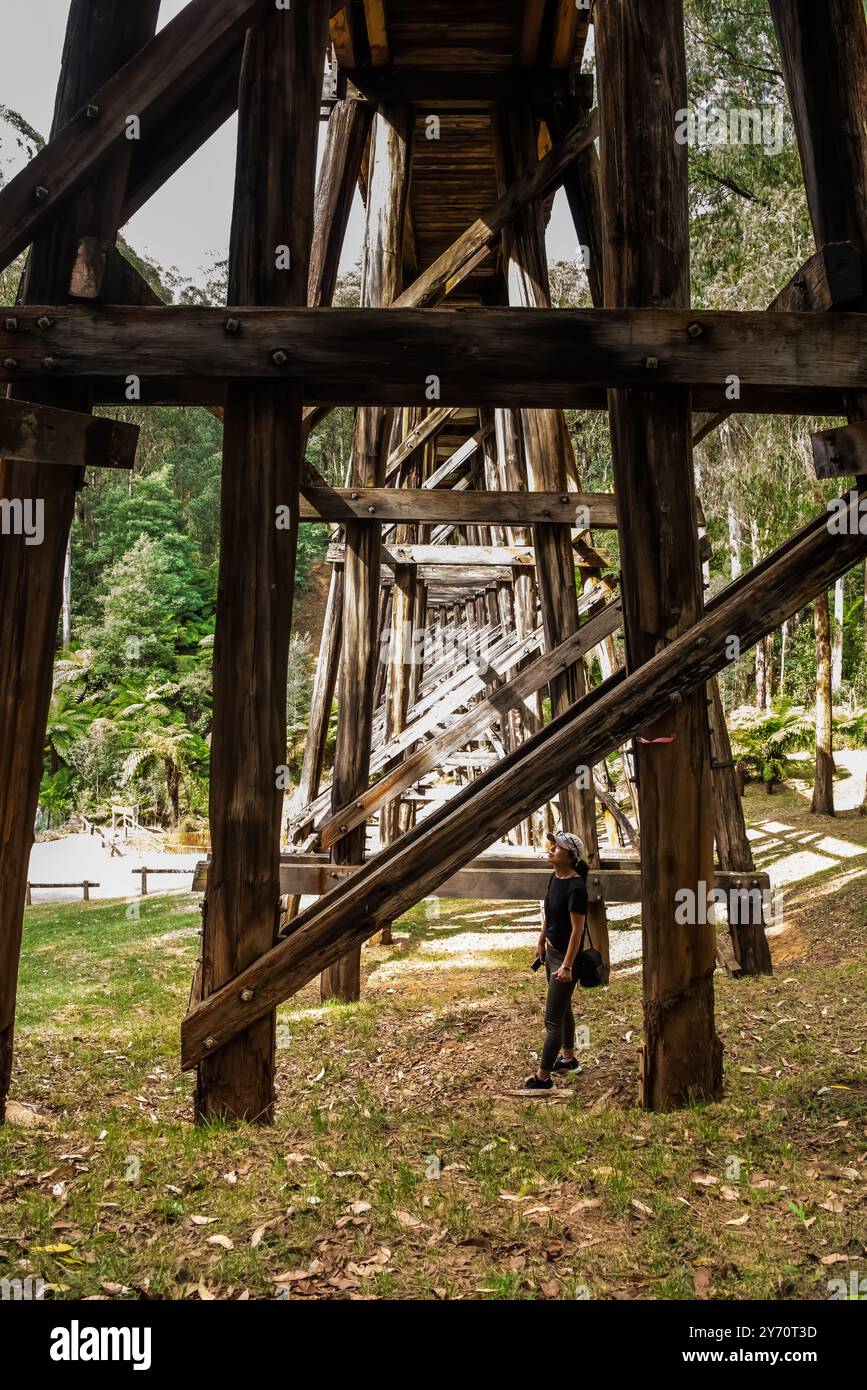 Vista dall'angolo basso del Noojee Trestle Bridge con una camminatrice in vista, a Victoria, Australia Foto Stock
