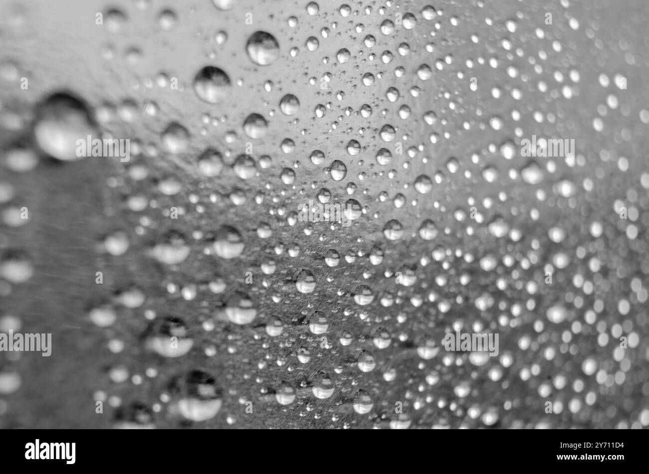 Gocce d'acqua piovana su sfondo nero della copertina. Concetto di goccioline d'acqua. Foto Stock
