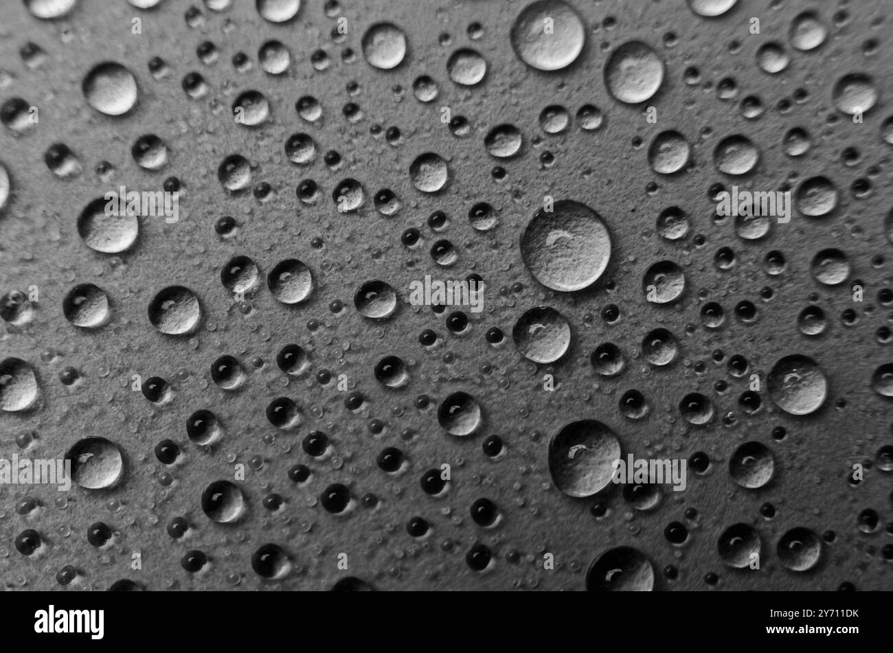 Vista dall'alto delle gocce d'acqua piovana su sfondo nero. Concetto di goccioline d'acqua Foto Stock