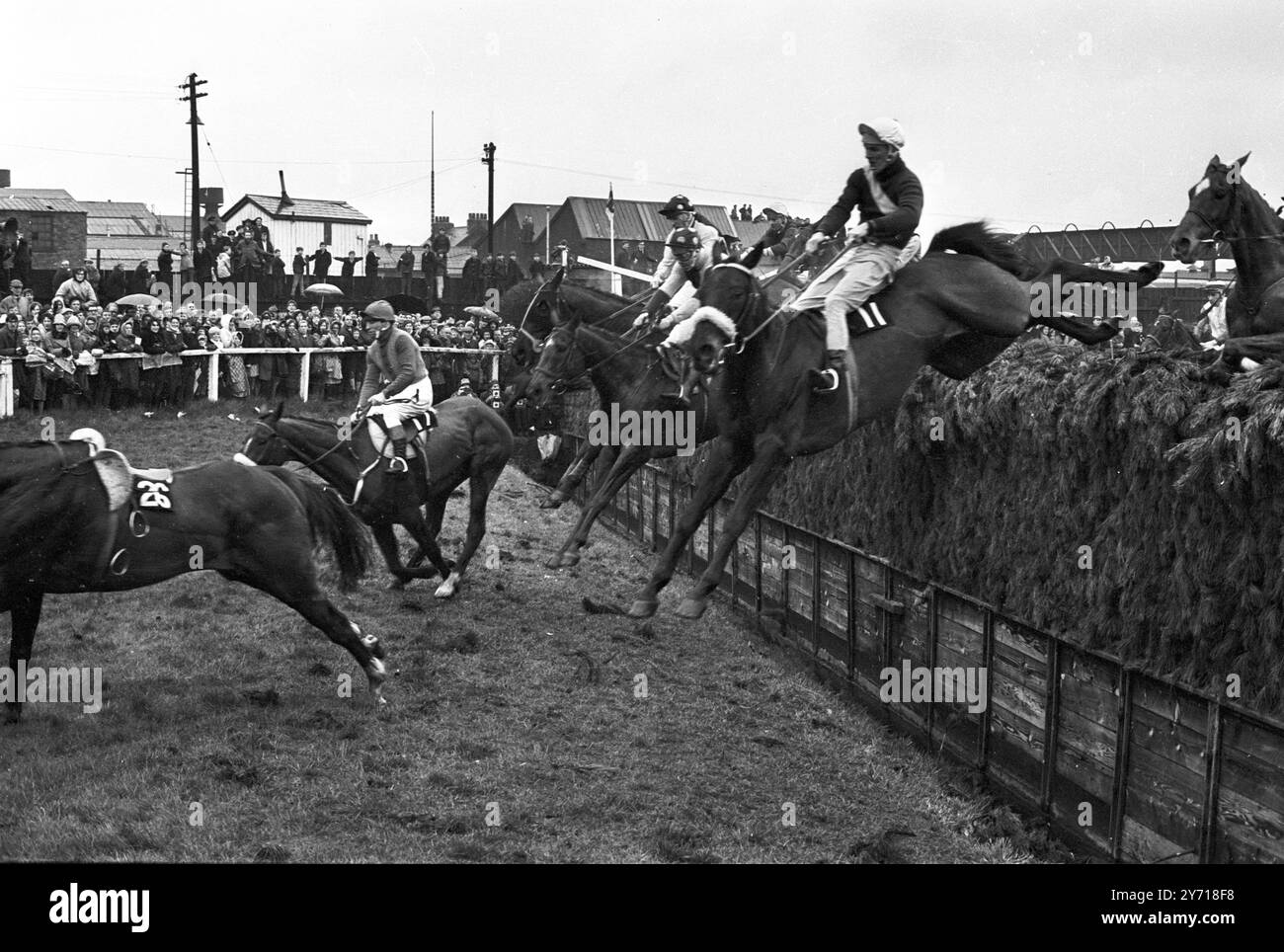 Grand National 1967 Un volo di cavalli è visto sorvolare il Brook di Beecher per la prima volta durante il Grand National Steeplechase del 1967 ad Aintree . Foinavon , un outsider del 100-1 guidato da John Buckingham , è venuto dal retro del campo per vincere l'evento di 15 lunghezze dopo che un disastroso pileup alla 23ma recinzione ha abbattuto tutti i leader. Il secondo fu Honey End con il fantino Josh Gifford ; il terzo fu Red Alligator con il fantino Brian Fletcher e il quarto fu Greek Scholar con il fantino Terry Biddlecombe . 8 aprile 1967 Foto Stock