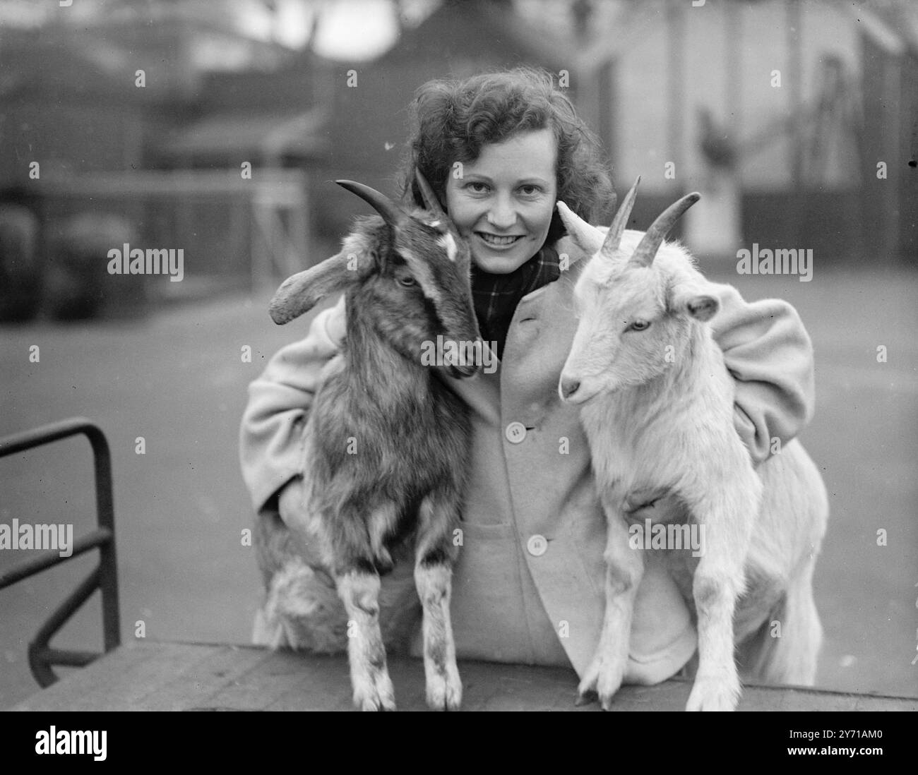 I NUOVI COMICI DELLO ZOO sono le capre anglo-nubiane, BELITA e PAULINE, che sono sotto la cura della signorina BETTY HOLDSTOCK, Hostess dello zoo per bambini sempre piena di maltrattamenti, e affrettati a sequestrare chiunque sospettino di portare cibo, saranno sicuramente popolari tra i giovani visitatori quando il Children's Corner aprirà all'inizio del mese prossimo. 16 febbraio 1949 Foto Stock