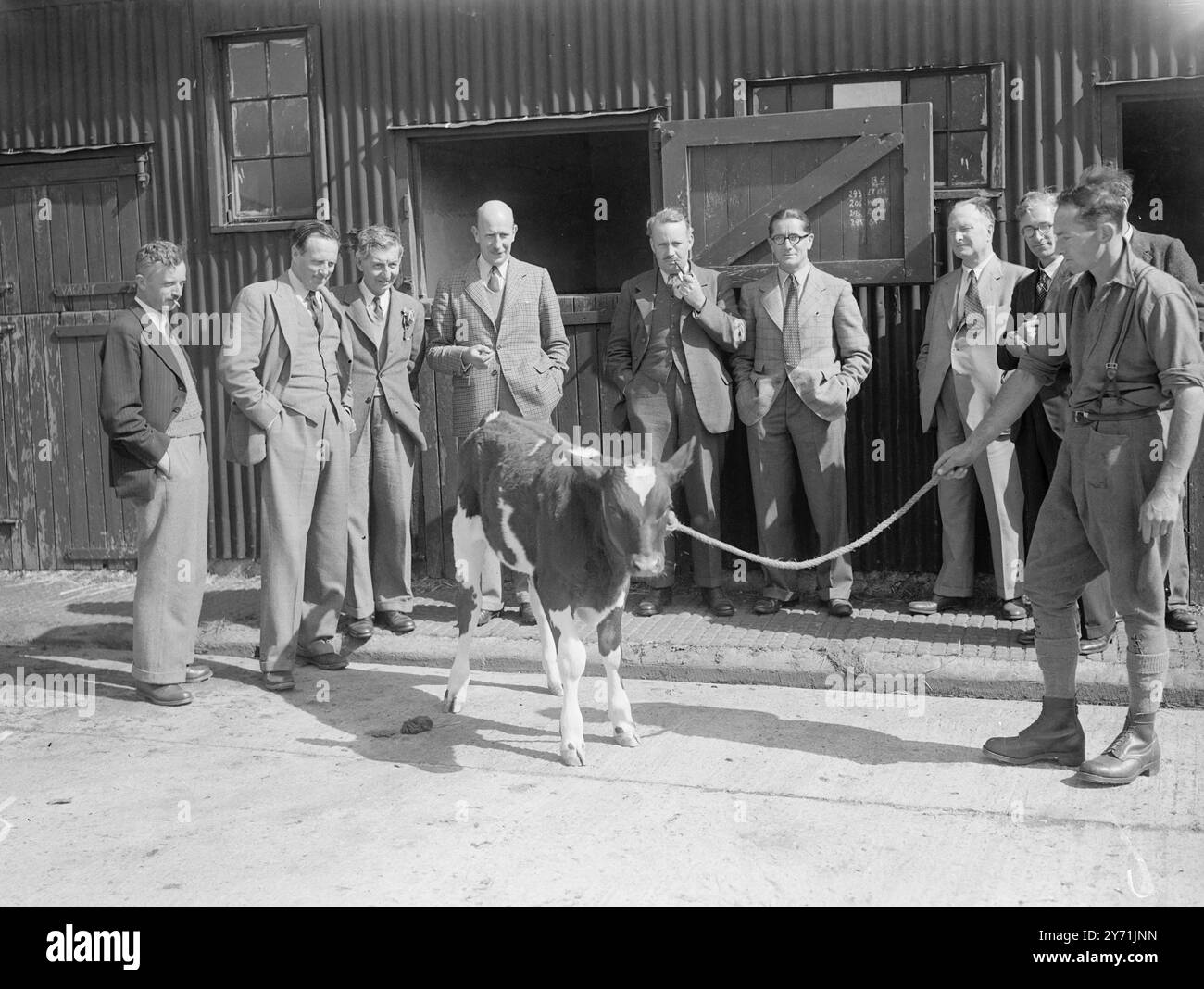 « A TERRA IN AZIENDA » - - ALLA STAZIONE AGRICOLA . - - - - La possibilità di vedere di persona i lavori in corso di realizzazione in materia di salute degli animali presso la Field Station del Agricultural Research Council , Compton , Berks . , Recentemente è stato conferito ai membri della Gilda dei giornalisti agricoli . Il partito ha studiato tutte le fasi del lavoro della stazione di campo per lo studio delle malattie negli animali di grossa taglia e per la fornitura di animali da esperimento di salute e di allevamento noti ad altri istituti di ricerca. La tenuta si compone di circa 1.600 acri ed è stata acquistata nel 1937 . - - - UN PROGRAMMA DI IMMAGINI Foto Stock