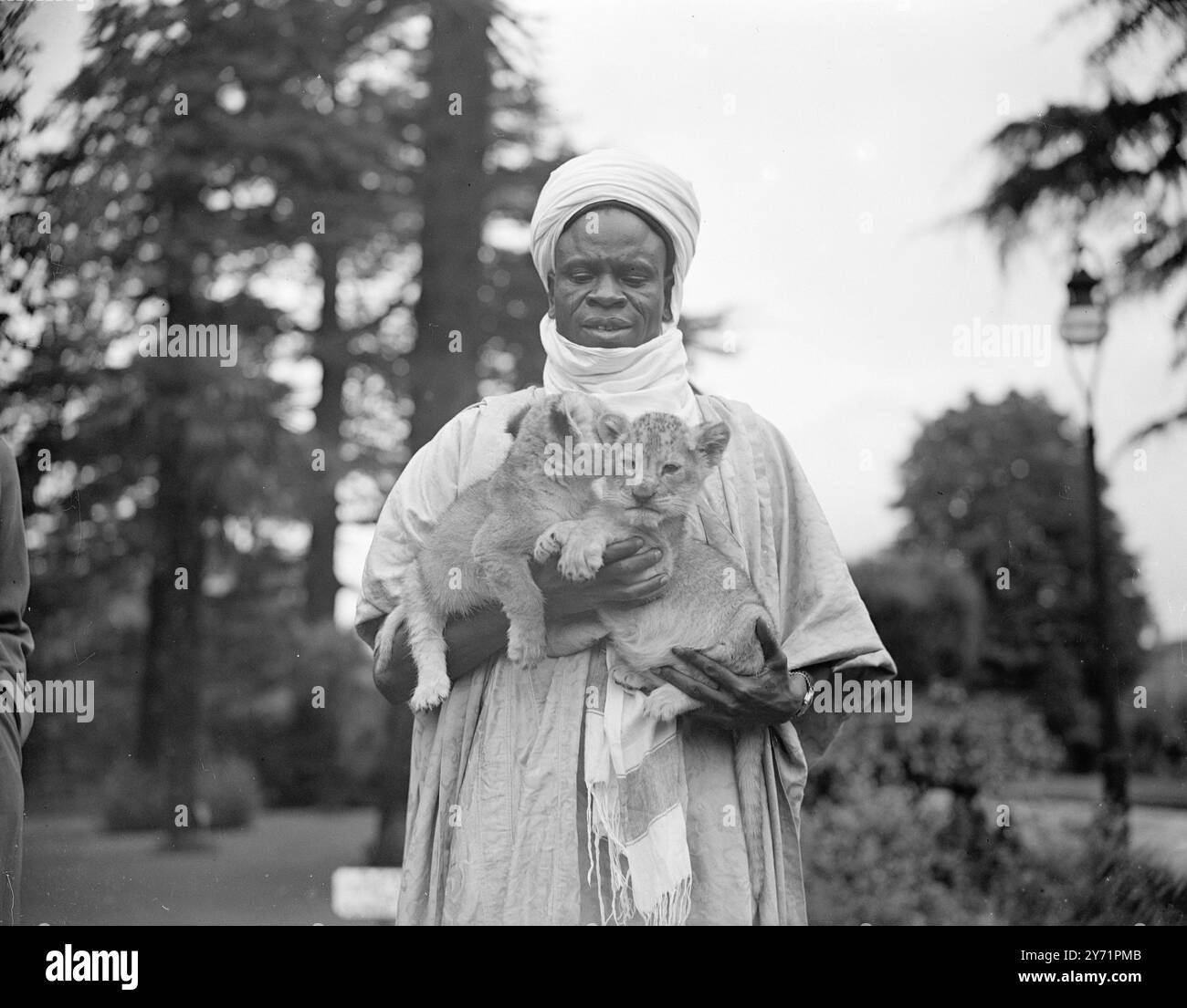 DELEGATI AFRICANI ALLO ZOO DI BRISTOL MALLEM YAHAYA ILORIN , membro del Consiglio legislativo nigeriano che partecipa alla Conferenza Africana a Londra, accarezza due cuccioli di leone durante la visita che ha fatto allo Zoo di Bristol con altri membri della Conferenza Africana. . I cuccioli di sei settimane sono due dei quattro nati Lioness Yvonne, e sono stati allevati da cani collie-madre adottiva. 12 ottobre 1948 Foto Stock