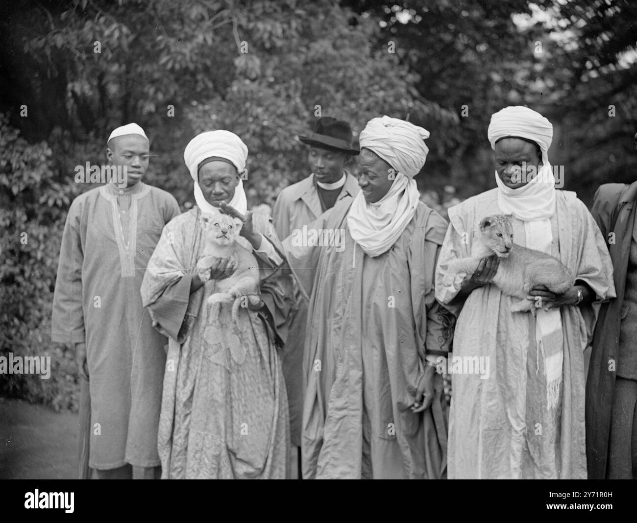 DELEGATI AFRICANI ALLO ZOO DI BRISTOL MALLEM YAHAYA ILORIN , membro del Consiglio legislativo nigeriano che partecipa alla Conferenza Africana a Londra, accarezza due cuccioli di leone durante la visita che ha fatto allo Zoo di Bristol con altri membri della Conferenza Africana. . I cuccioli di sei settimane sono due dei quattro nati Lioness Yvonne, e sono stati allevati da cani collie-madre adottiva. Inclusi nel gruppo sono : da sinistra a destra: MUSA ( sec.. A Emiro di Abuja) ( M. A. M Bida , Holding Cub ) , Rev. Faye , di ( Gambia) , Emiro di Abuja, della Nigeria e ( M. Y. Ilorin-Holding Cub) 12 ottobre 1948 Foto Stock