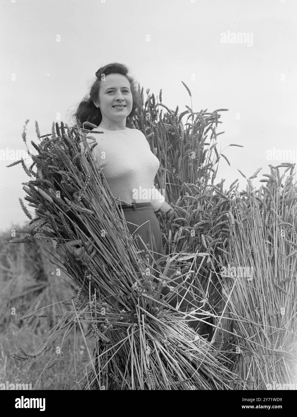 Bellezza nel mais Miss Unity Botton, un'attraente Land Army Girl, aiuta a impilare il mais per il raccolto britannico, nei campi di Swanley, nel Kent. Unity viene dal Kent e, guardando in faccia, sembra molto felice del suo lavoro. 21 agosto 1948 Foto Stock