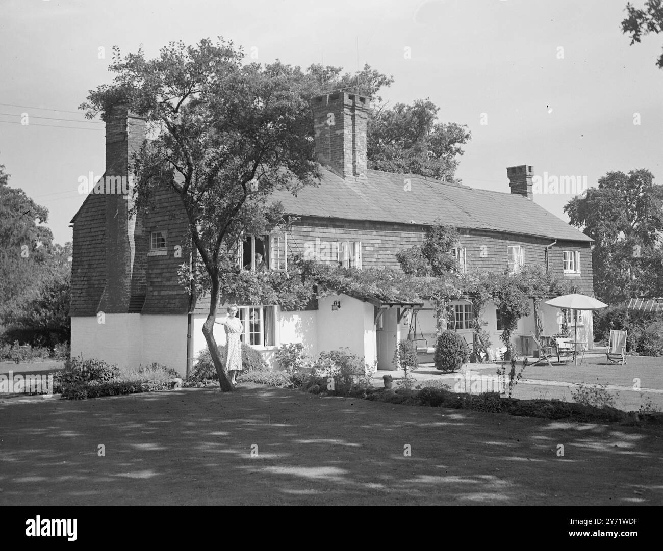 Niente preoccupazioni per il tabacco. Lady Napier, moglie del colonnello di Lieut Sir Joseph Napier, non avrà più preoccupazioni per il fumo quando arriverà la prossima primavera. Nel giardino della sua casa di Ockley, nel Surrey, circa 50 libbre di foglie virginiane vengono abbronzate al sole. Lady Napier ha piantato i semi di tabacco a maggio e sta andando ad asciugare e curare il raccolto da sola. Se ha intenzione di incontrarsi con successo, spera di interessare i suoi compagni di villaggio in un programma per far crescere il proprio fumo. Immagini: Casa di Lady Napier a Ockley, Surrey. Settembre 1948 Foto Stock