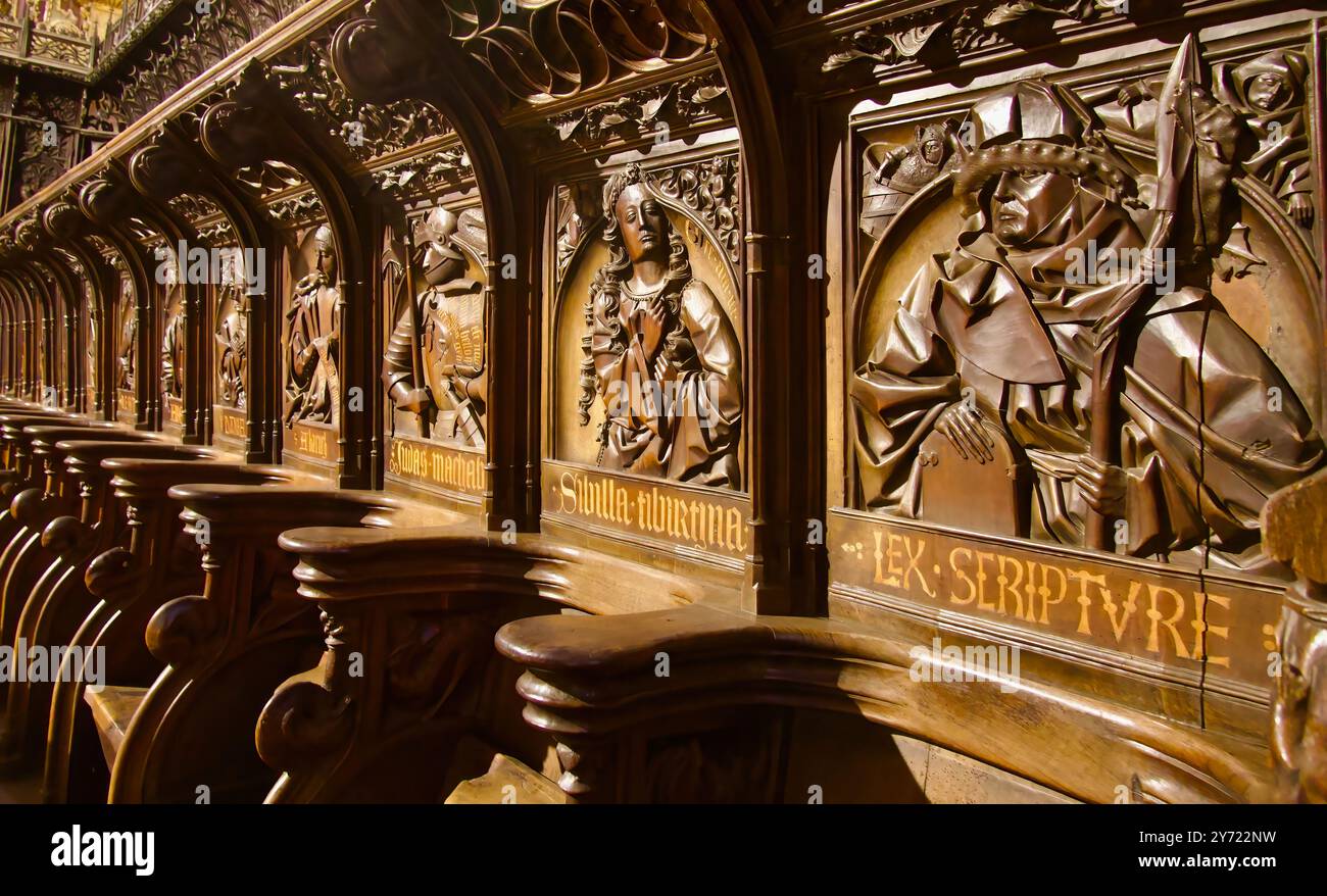 Dettaglio ravvicinato delle bancarelle medievali del coro in legno intagliato nella cattedrale di Santa Maria Castiglia di Leon e León Spagna Foto Stock