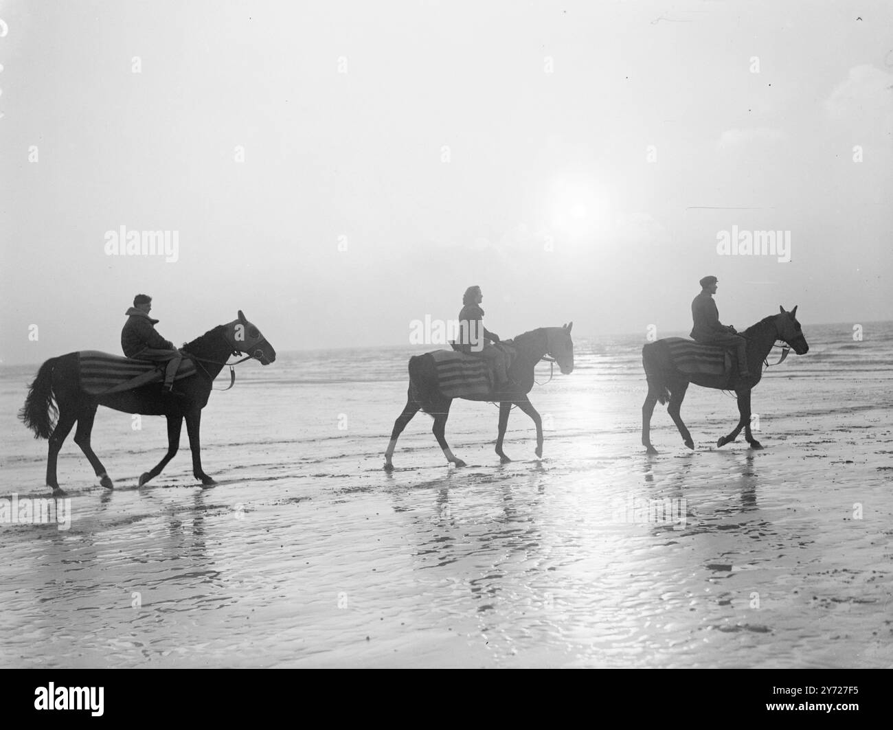 Cavalli di mare. Seguendo la moda impostata dalla squadra di calcio, Lovely Cottage (a sinistra), Brave Jack (al centro) e Kilcolman Cottage (a destra) stanno trovando il mare un luogo ideale per l'allenamento. Qui a Bognor Regis, nel Sussex, i tre cavalli posseduti dal signor J Morant, di Brockenhurst, Hants, sono in esercizio nel surf. Lovely Cottage, vincitore del Grand National 1946, ci riproverà quest'anno; Brave Jack, girato nella foto da Paula Cleveland, receptionist del Bognor Hotel è un ingresso per il Welsh Grand National. 25 febbraio 1948 Foto Stock