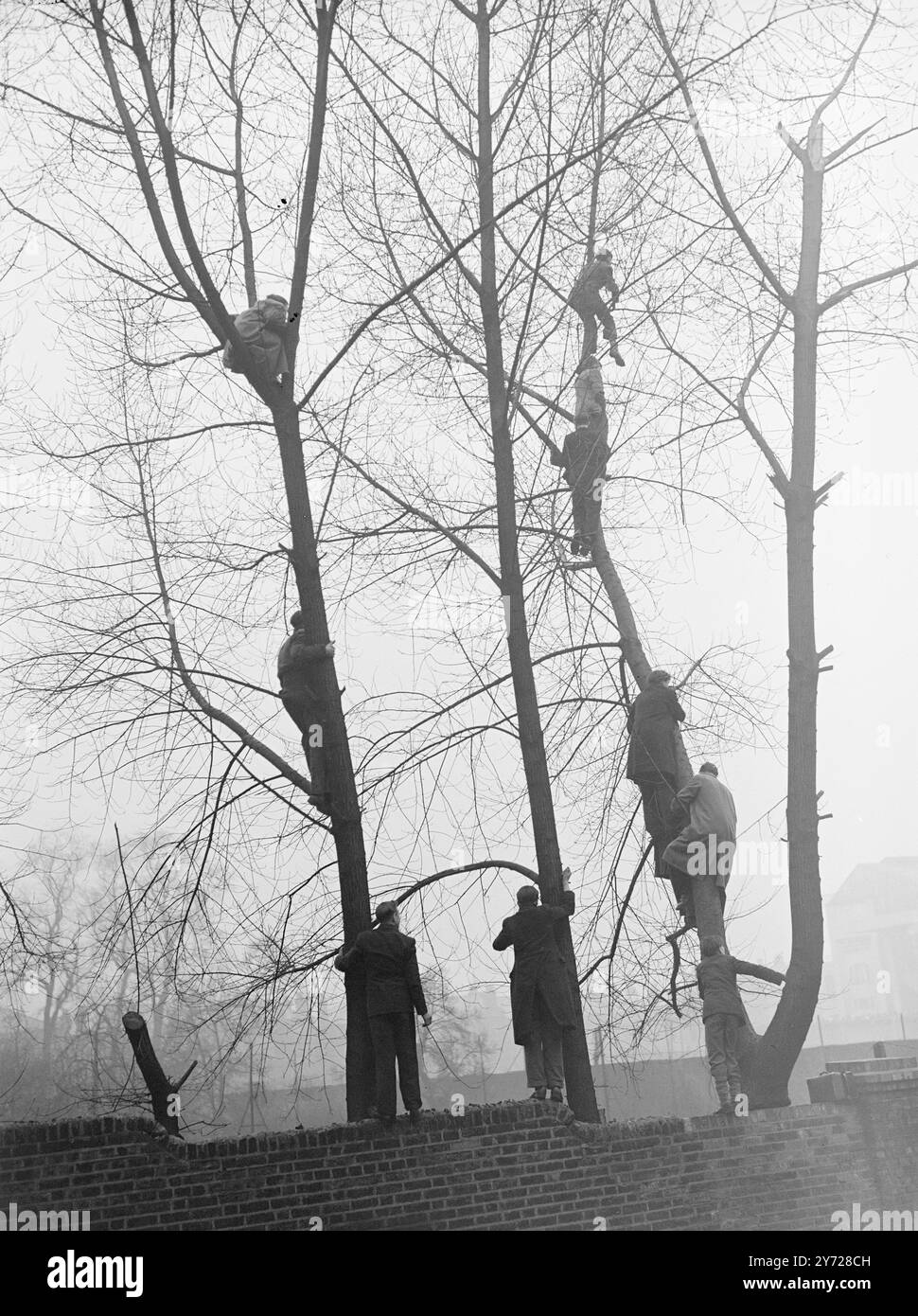 "Up the Pole" - - - questi tifosi di calcio avrebbero potuto essere "in pole" quando oggi (sabato) erano arrivati i cancelli di Highbury, ma hanno lanciato l'idea per un buon uso, e ancora guardare la battaglia dell'Arsenal con Burnley. - - - 14 febbraio 1948 Foto Stock