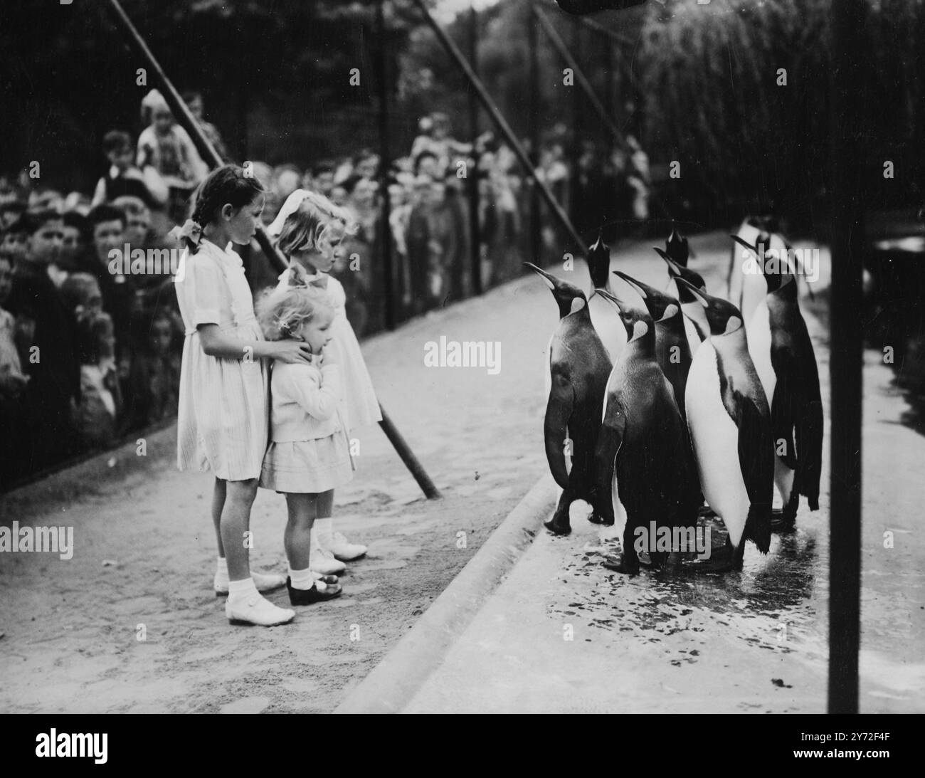 Sono andati a trovare i Re. Questi bambini, che oggi facevano parte della grande folla di festività allo zoo di Londra, sono stati affascinati dai pinguini Child King, una recente aggiunta allo zoo. Sembra che i pinguini fossero ugualmente affascinati dai bambini 4 agosto 1947 Foto Stock