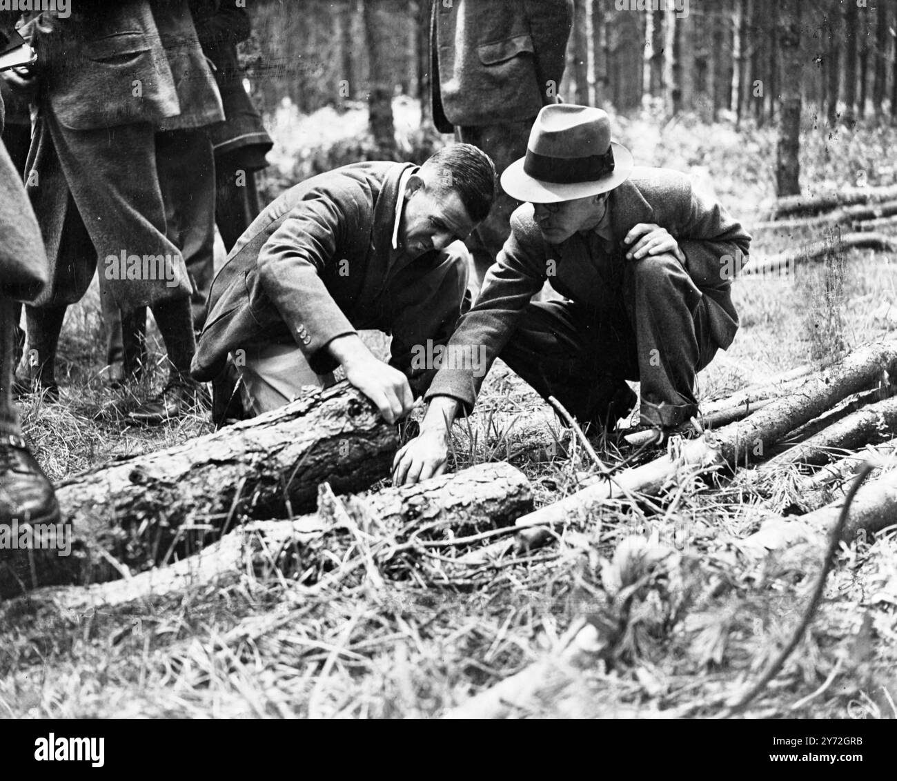 Più di 60 rappresentanti dei Dominion, di Idia, della Birmania e delle colonie, con circa 30 delegati dalla Gran Bretagna, partecipano alla 5a Conferenza forestale dell'Impero, nel corso della quale visiteranno foreste statali e private in Gran Bretagna. Stanno vedendo qualcosa del sistema di imboschimento in base al quale la Forestry Commission pianifica, per un periodo di cinque anni, di estendere i due milioni di acri della Gran Bretagna, densi dalla guerra, a cinque milioni di acri di bosco efficaci e ben gestiti. I delegati hanno appena trascorso tre giorni a visitare l'area di 50.000 ettari della foresta di Thetford Cahse e il Duca Foto Stock