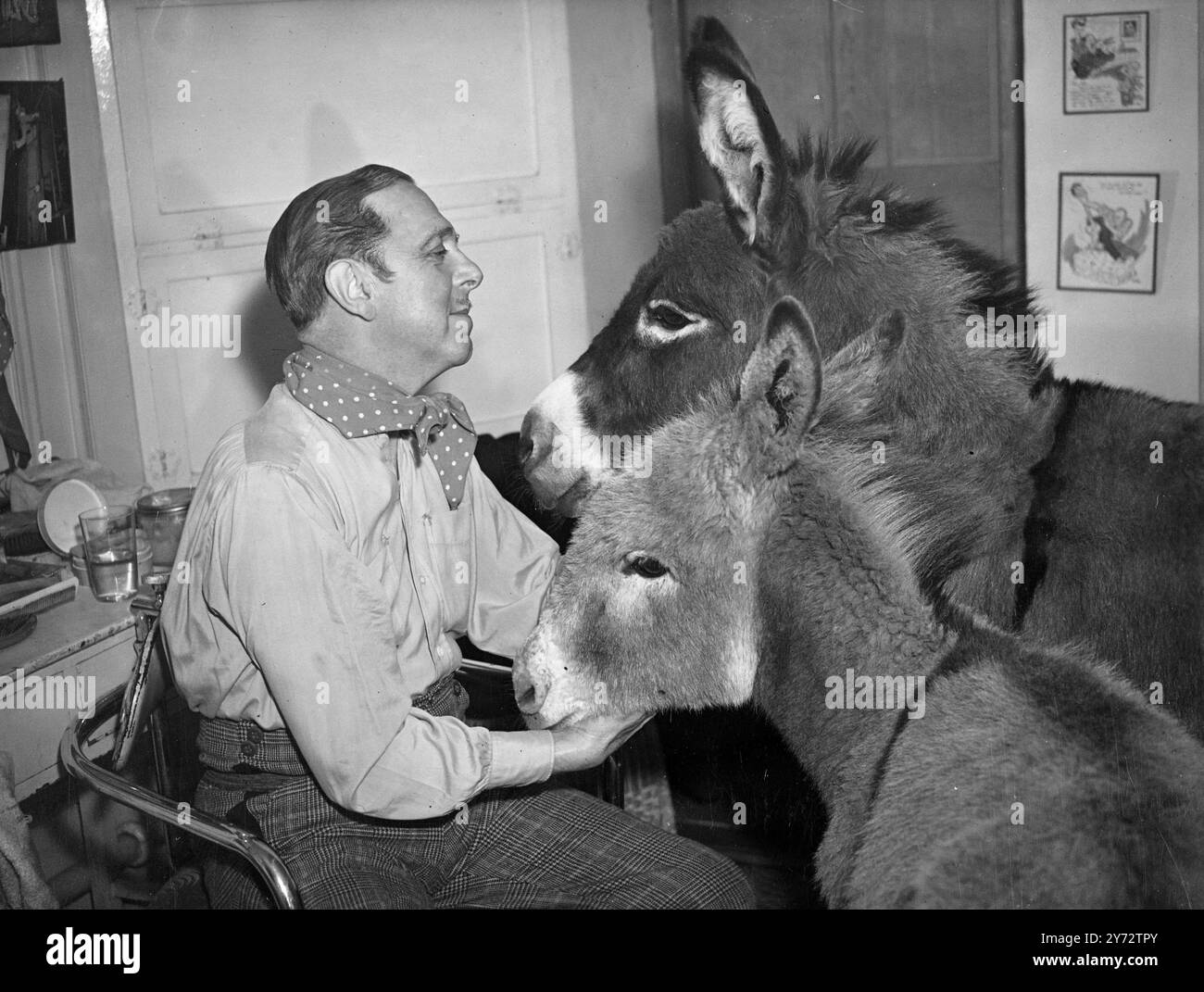 'Nelly' e 'Nipper' (la macchina fotografica più vicina) con Lupino Lane nel suo camerino. Gli asini sono protagonisti delle scene della commedia musicale "Sweetheart Mine" di Lupino Lane attualmente al Victoria Palace di Londra. 13 novembre 1946 Foto Stock