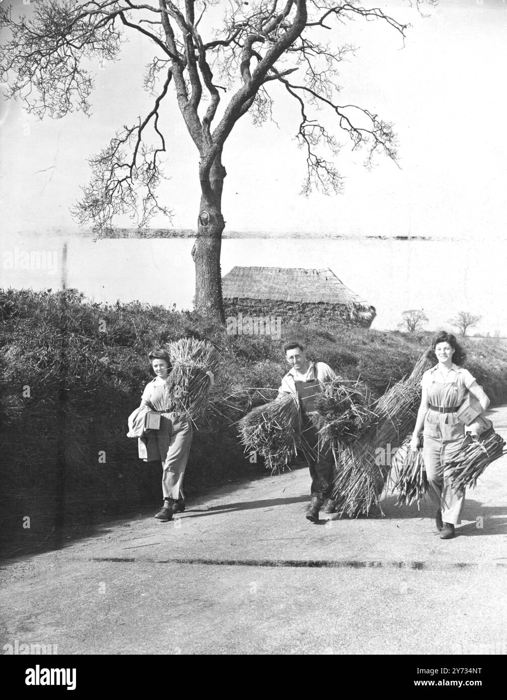 Thatching è un'abilità artigianale, ma molte ragazze di terra sono diventate abili in questo lavoro necessario nella fattoria. - Immagini: Ragazze dell'esercito del Lancashire con una strada agricola fino al collega lavoratore che si recano a lavorare in una fattoria vicino a Sidmouth, nel Devon meridionale. - 5 aprile 1946 Foto Stock