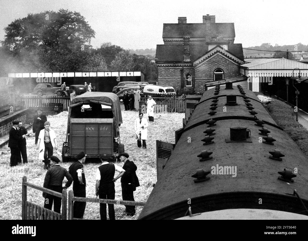 Due treni speciali sono stati utilizzati per spostare una fattoria, un magazzino e un barile , da Edenbridge , Kent , ad Aberdeenshire , Scozia . Il primo treno ha preso il bestiame morto e le attrezzature , e il secondo gli animali . La fattoria era la Delaware Farm di Cecil Moores, famosa per la mandria di Bapton Shorthorn , che ora si è trasferita a Cairnbrogie , Oldmeldrum , Aberdeenshire . Qui sono stati visti alcuni animali caricati sul treno a Edenbridge Town Station , Kent , Inghilterra . 25 maggio 1955 Foto Stock