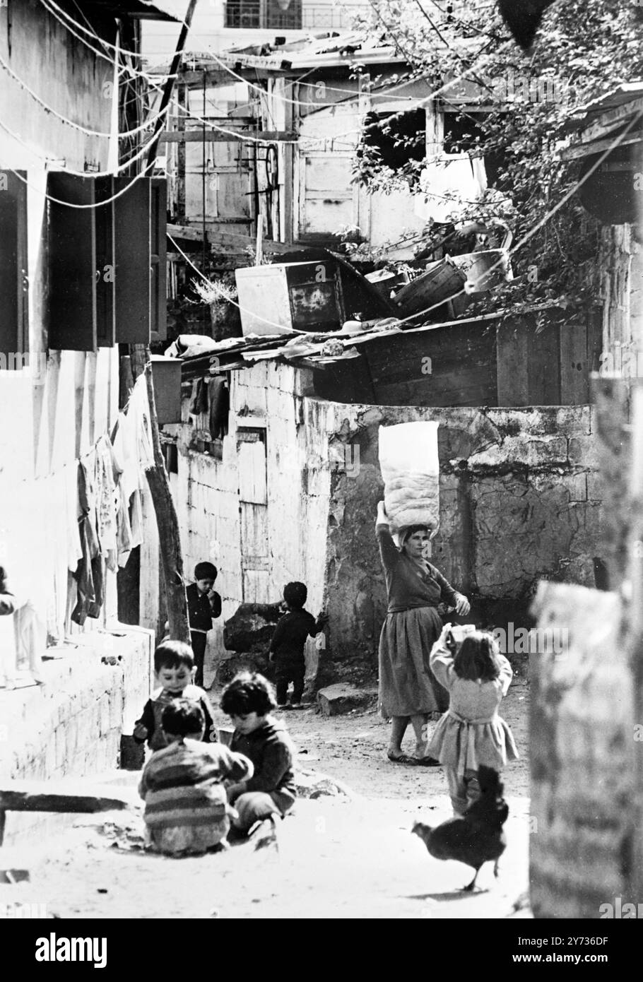 Libano, Beirut; bambini e polli si radunano in una delle baracche fatiscenti che ospitano i rifugiati del campo Dekwaneh di Beirut . 12 aprile 1969 Foto Stock