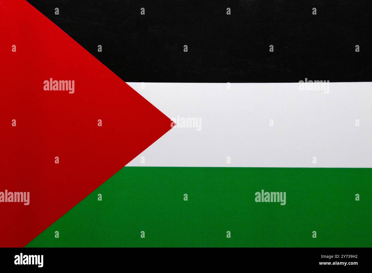 La bandiera della Palestina è un’immagine concettuale fatta con la carta. Mappa di base e concetto di sfondo. Ologramma a doppia esposizione. Notizie o uso di Internet. 2024 Foto Stock