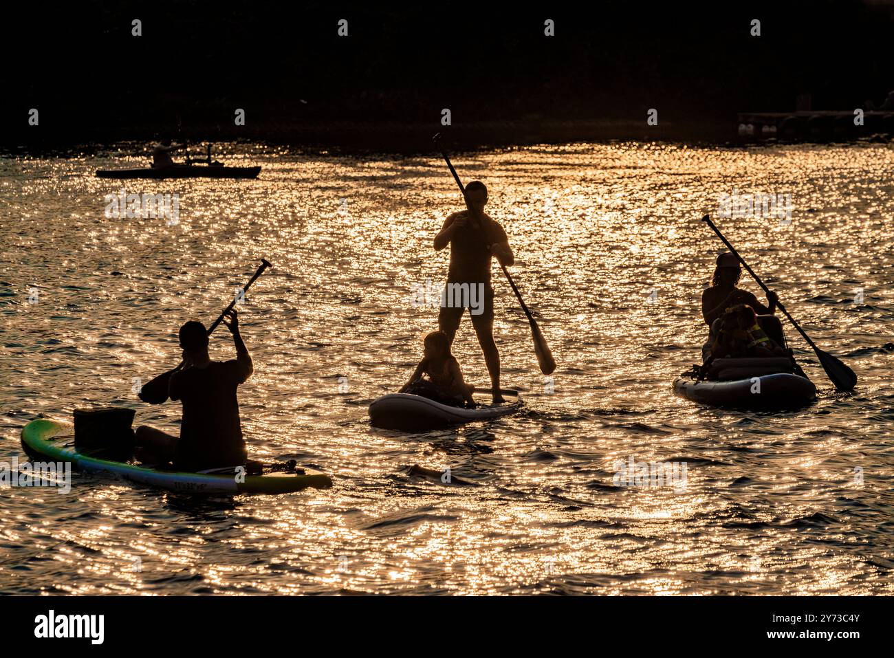 Persone che amano stare in piedi paddle board a Lake Union, Seattle, Washington State, Stati Uniti [Nessuna versione; solo licenze editoriali] Foto Stock