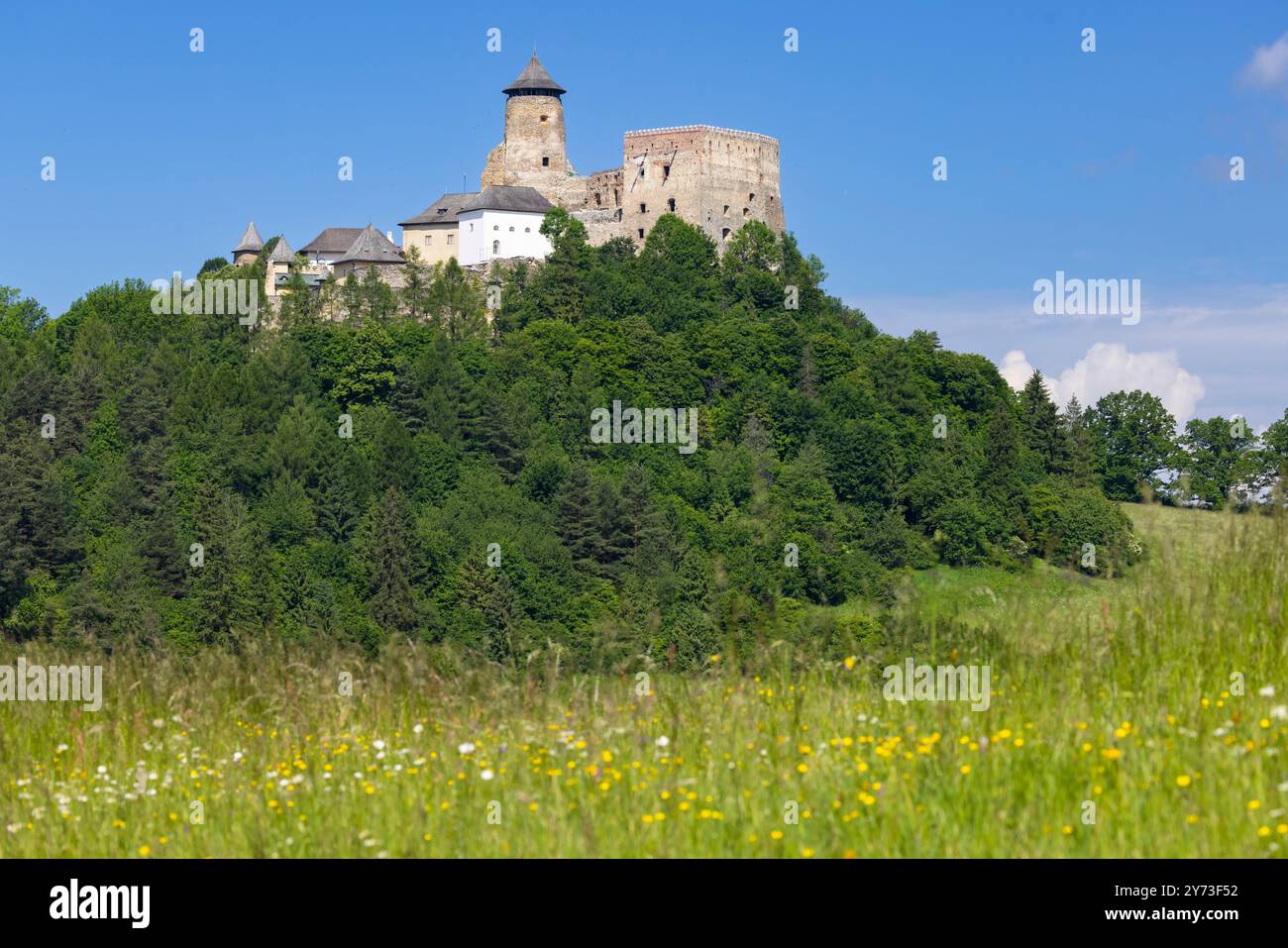 Castello di Stara Lubovna, regione di Presov, Slovacchia Foto Stock