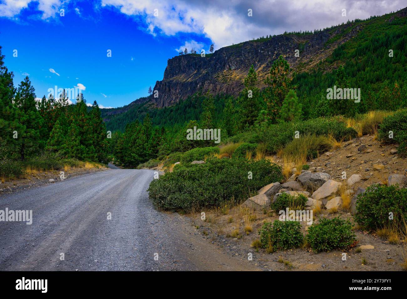 STRADA STERRATA CHE CORRE LUNGO UN GRANDE MURO DI ROCCIA FIANCHEGGIATO DA ALBERI EVERGREEN E UN BEL CIELO BLU CON ALCUNE NUVOLE IN CURVA NELL'OREGON Foto Stock