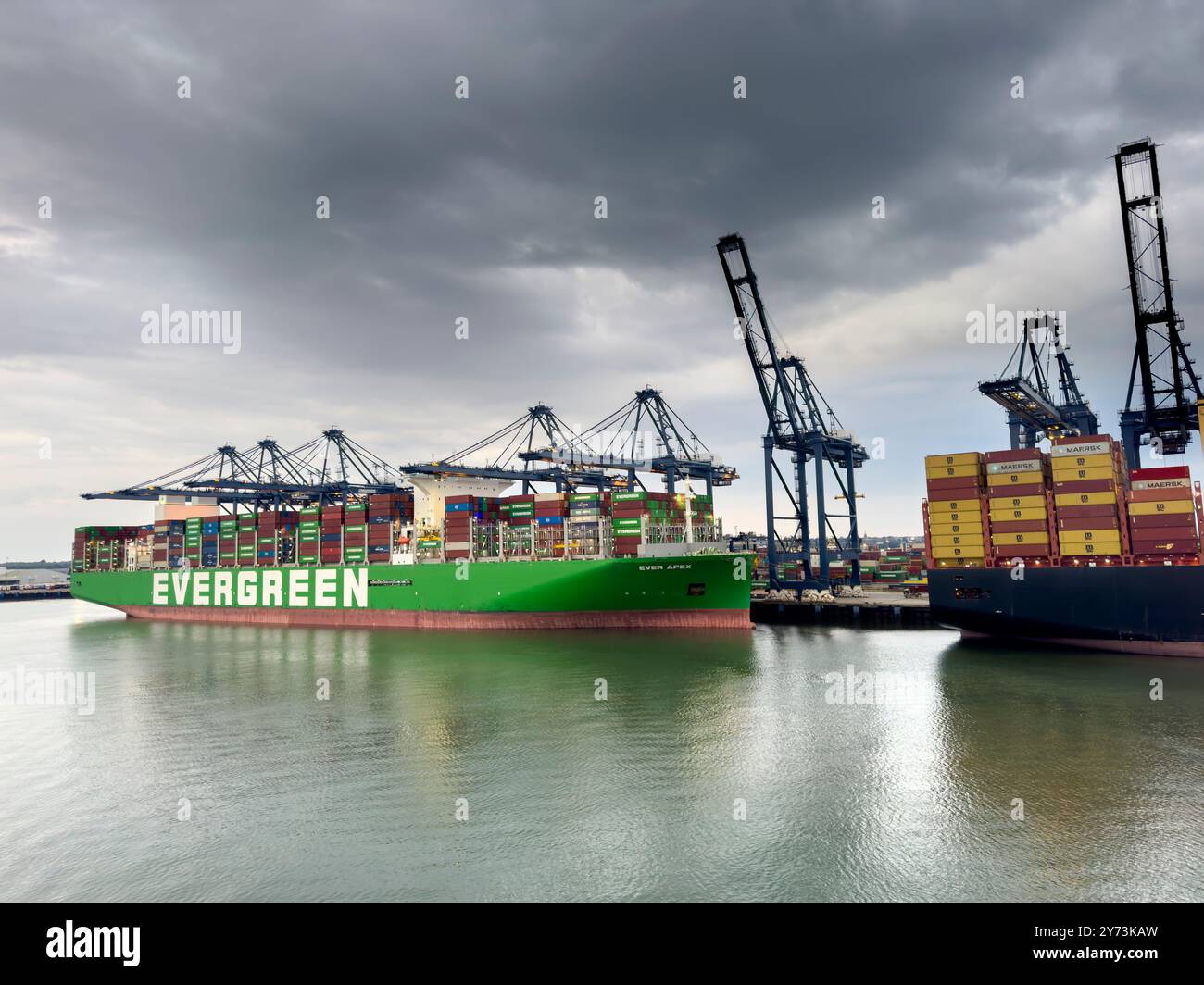 Felixstowe, Inghilterra - 4 settembre 2024: Nave container MSC ormeggiata a Felixstowe. L'atmosfera tranquilla del porto contrasta con l'enorme nave. Foto Stock